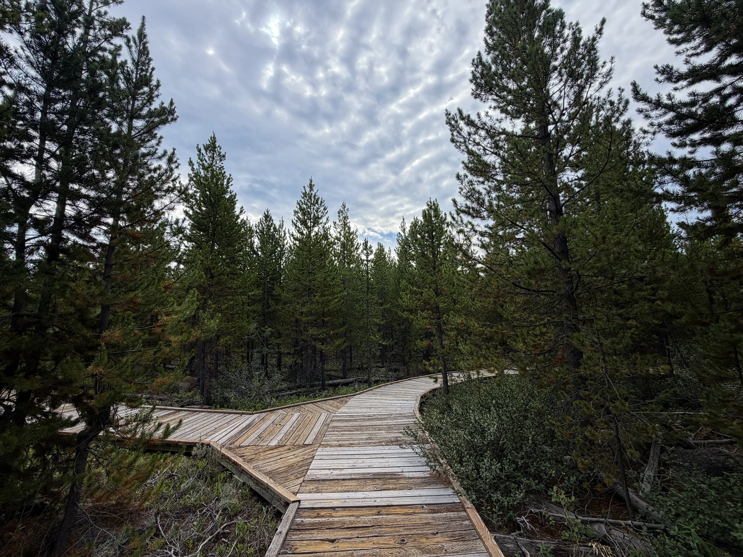 Forces of the Northern Range Hike Yellowstone National Park Wyoming