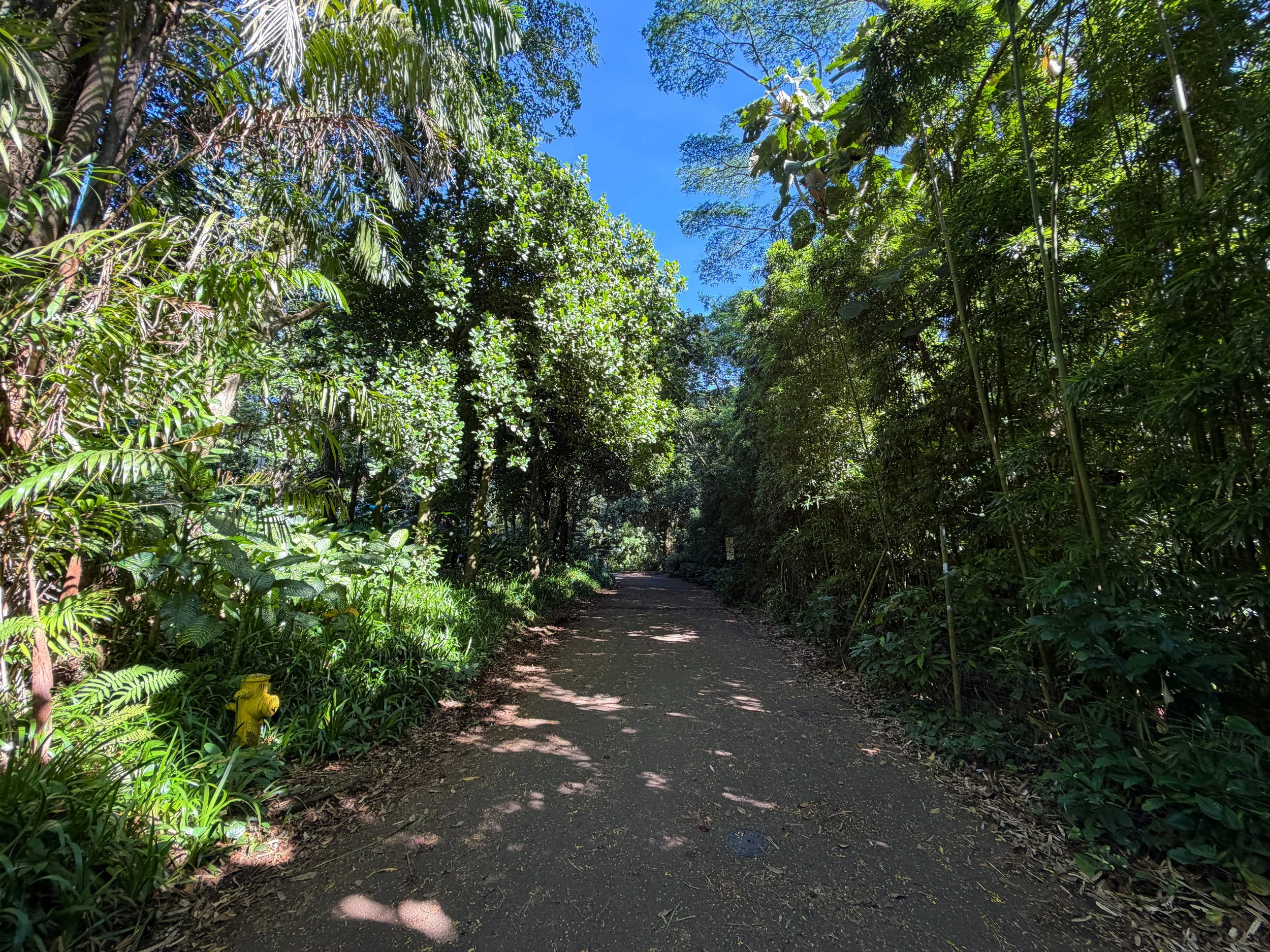 Manoa Falls Trailhead Oahu Hawaii