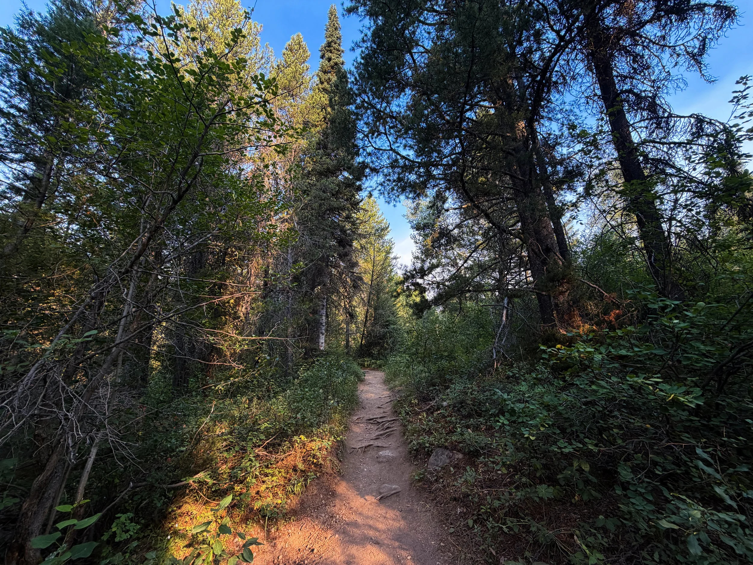 Boulder Ridge Loop Trail Grand Teton National Park Wyoming