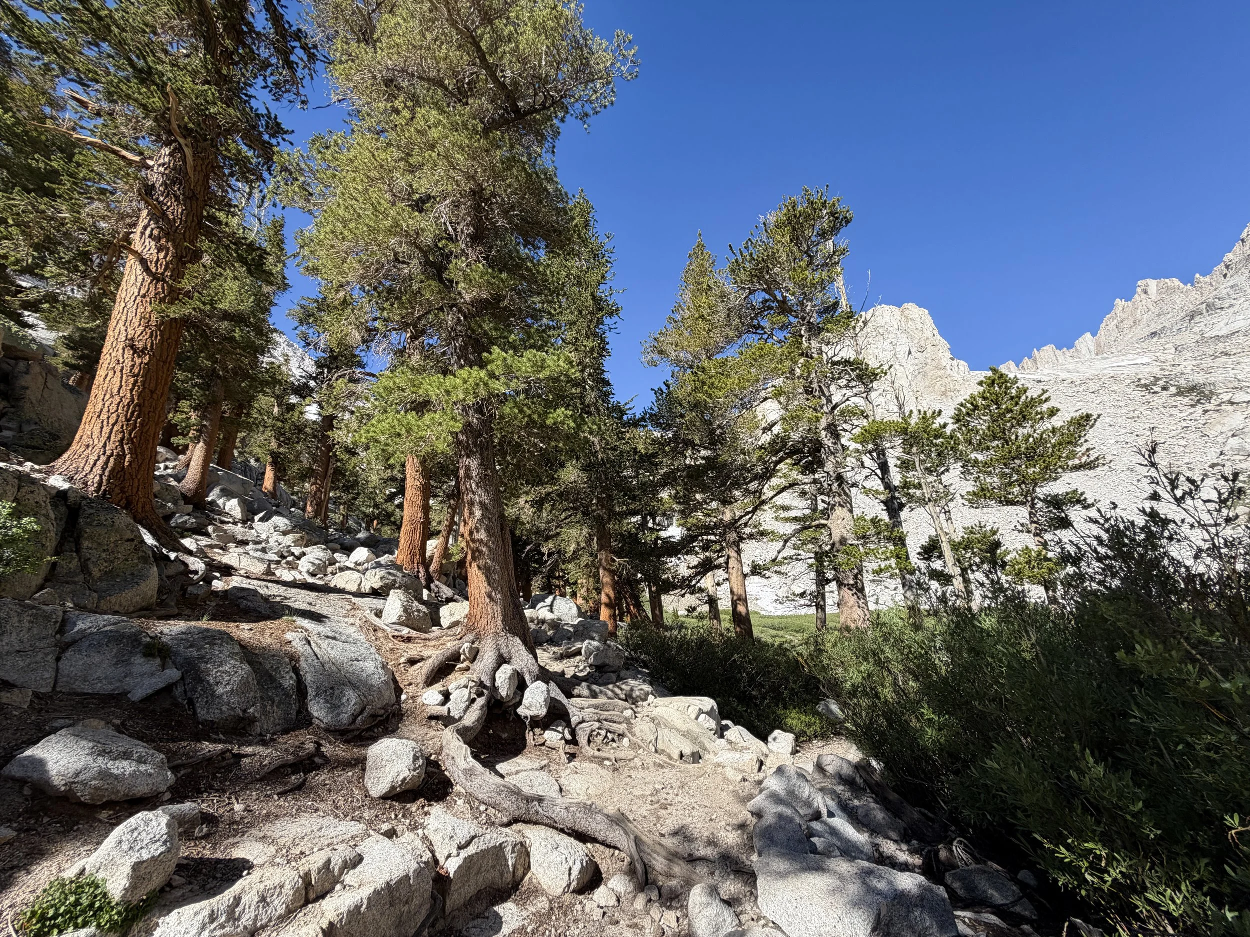 Mount Whitney Trail Lone Pine California