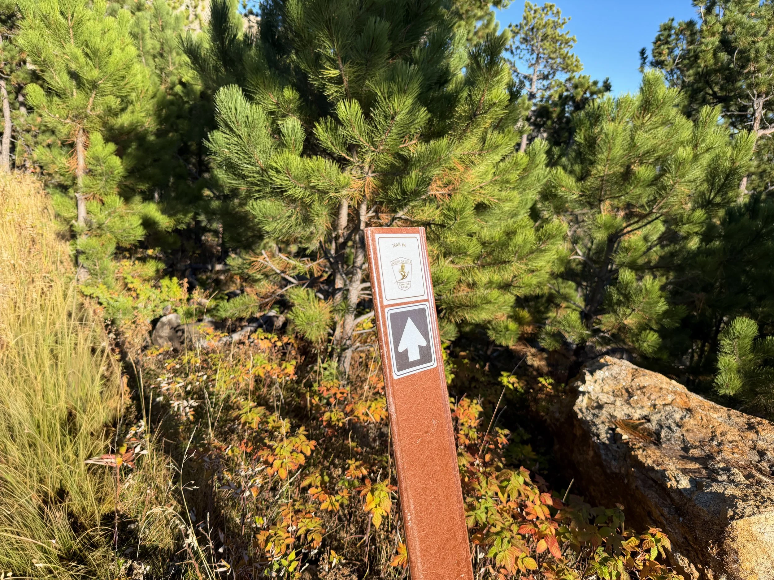Little Devils Tower Hike Custer State Park Black Hills South Dakota
