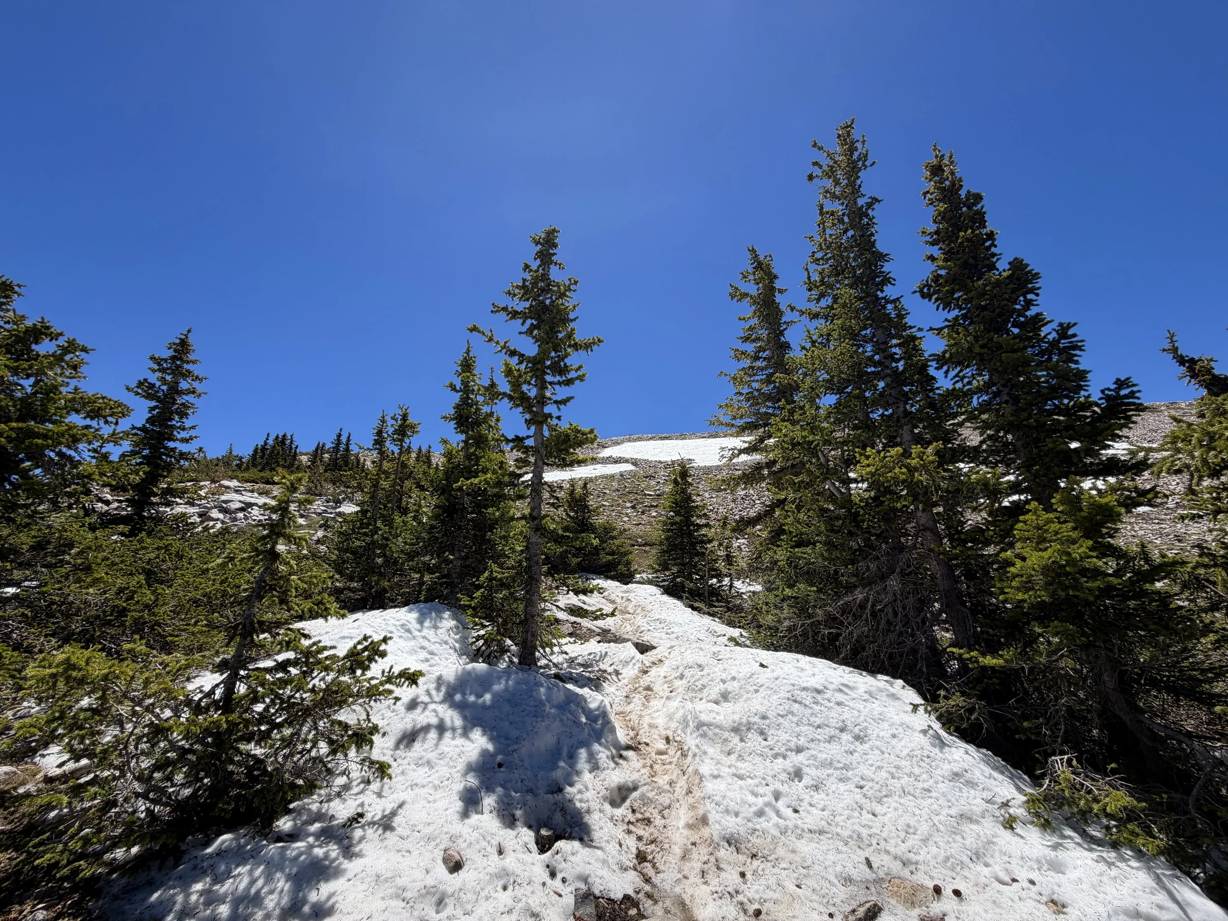Wheeler Peak Summit Trail Great Basin National Park Nevada