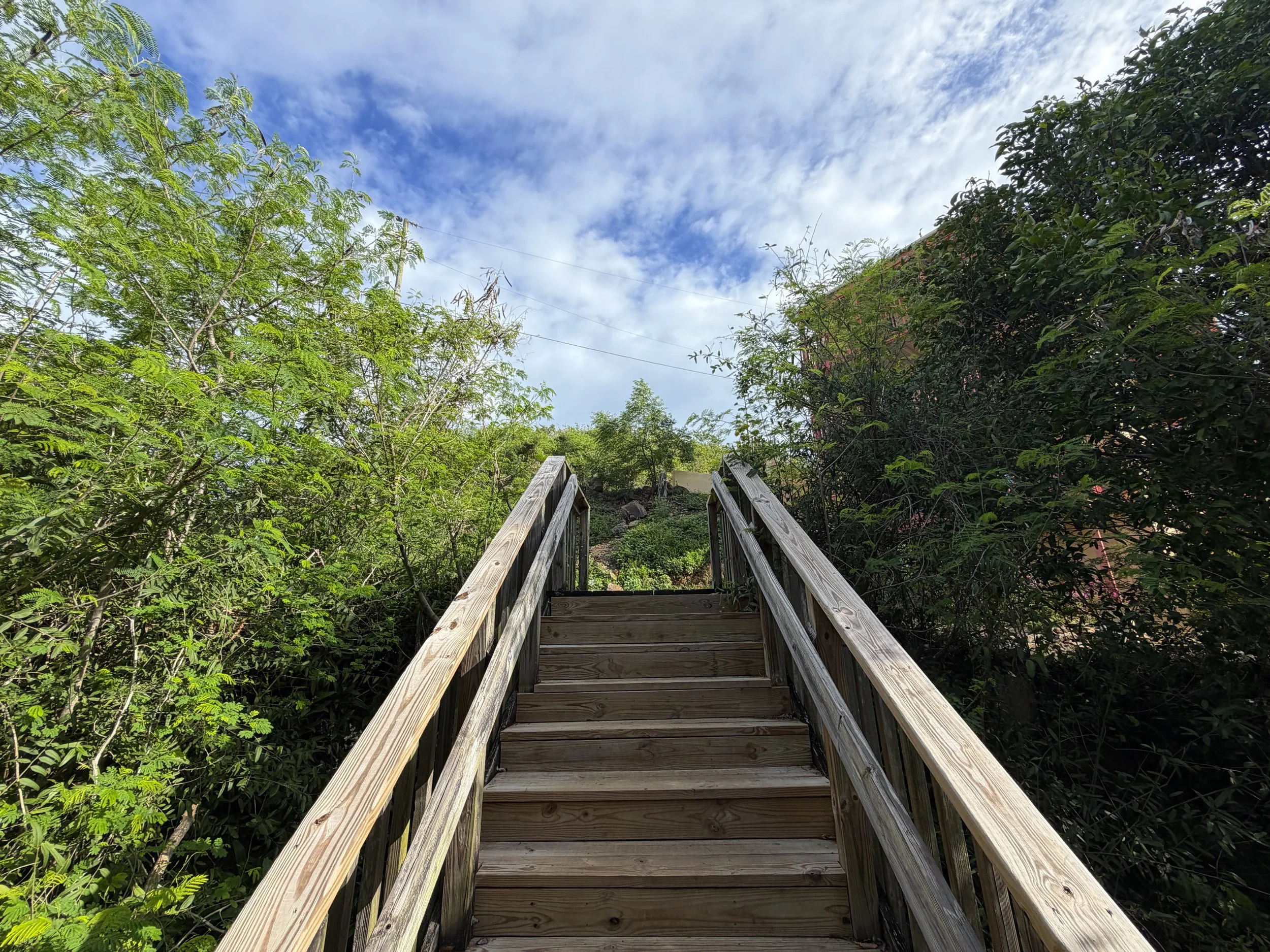 Lind Point Trail Virgin Islands National Park
