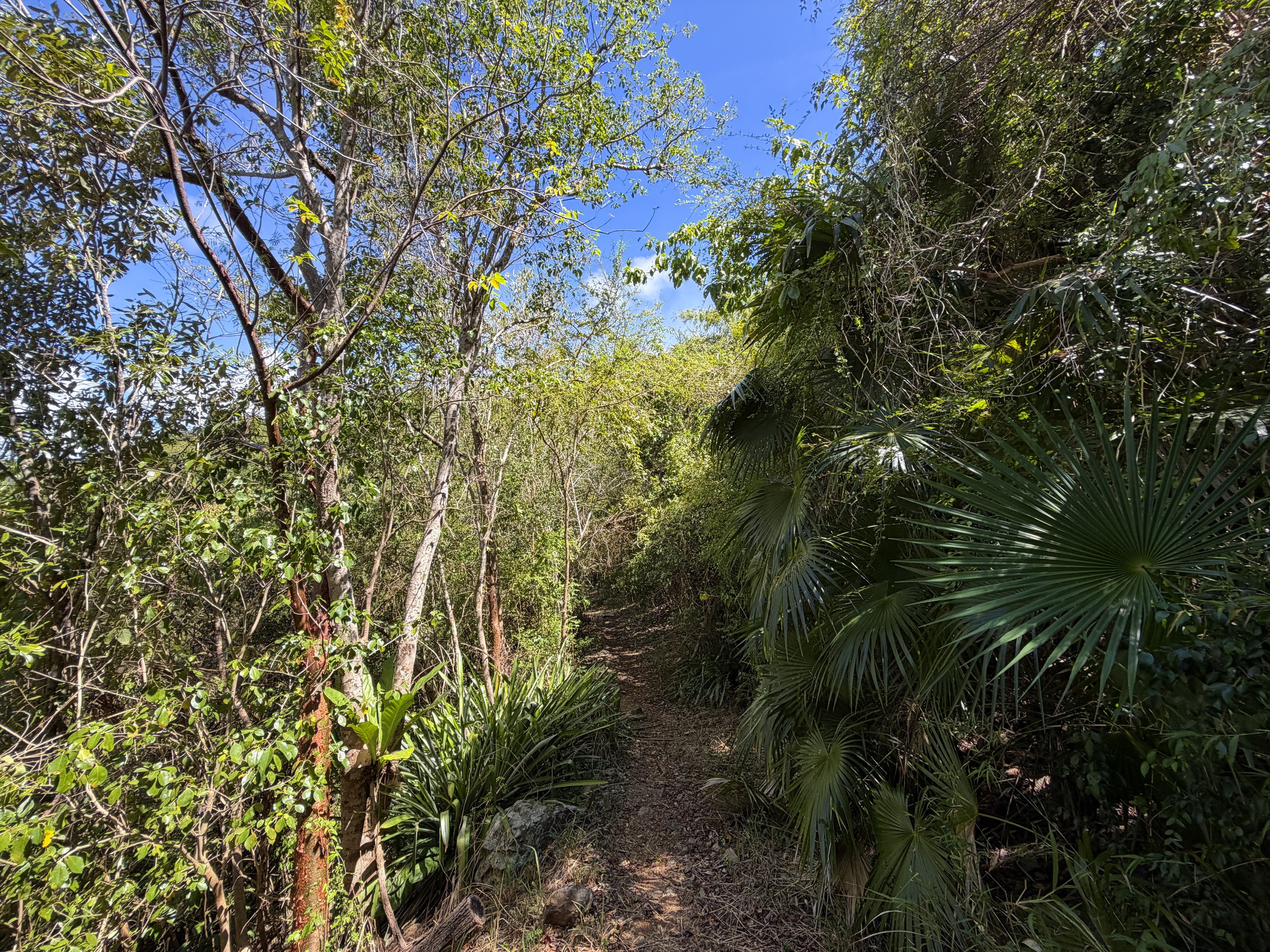 Lameshur Bay Trail to Reef Bay Virgin Islands National Park