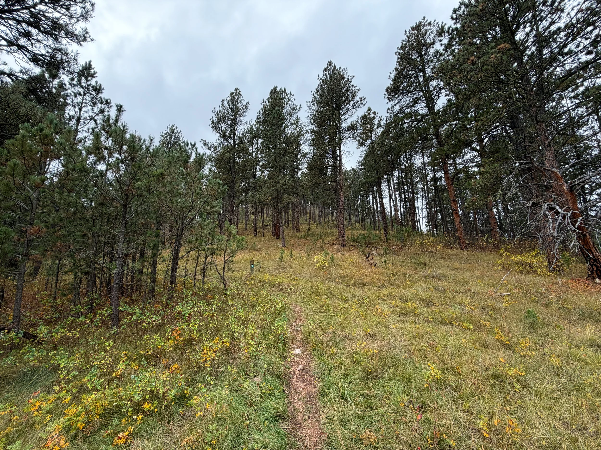 Highland Creek Trail to Lookout Point Wind Cave National Park South Dakota