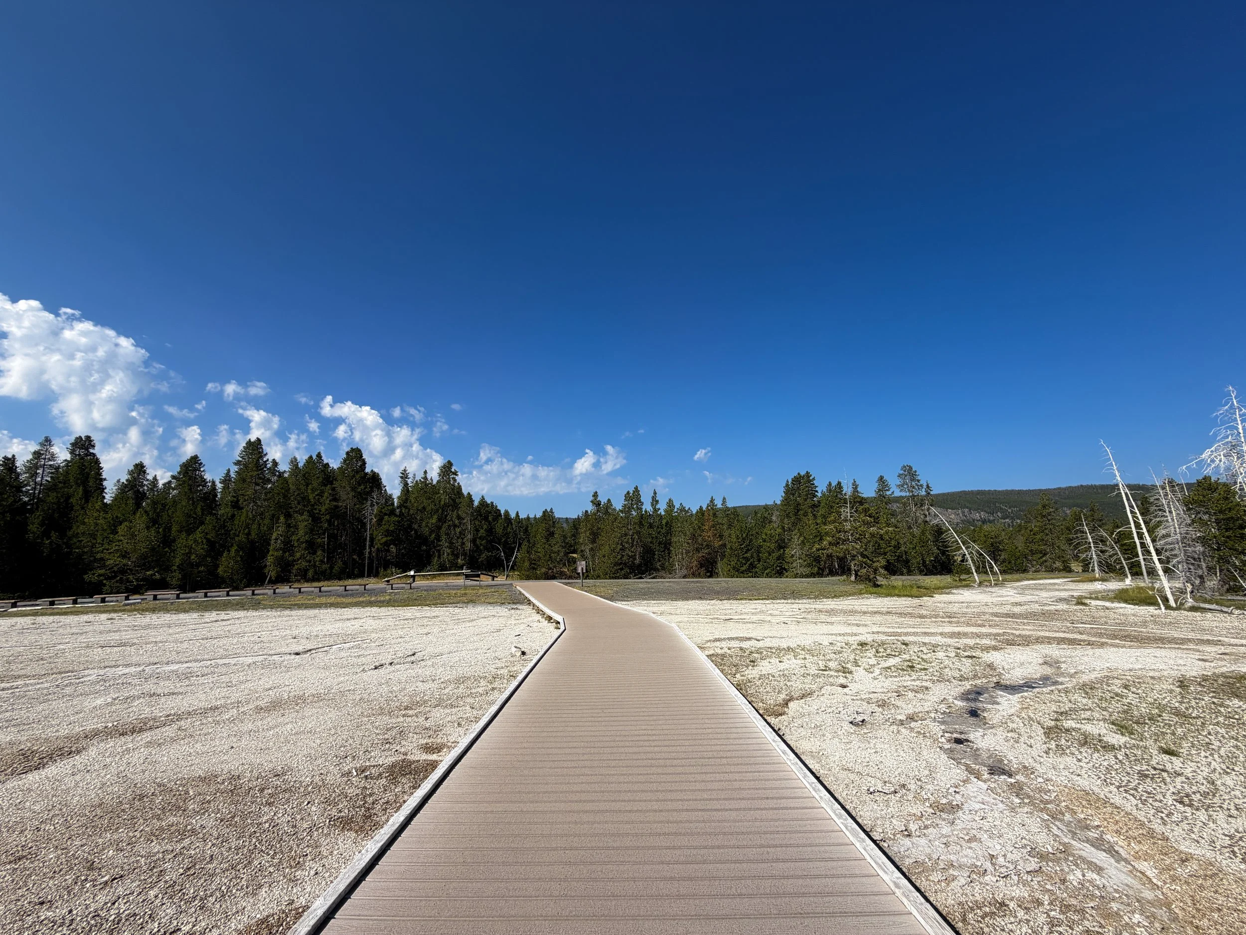Upper Geyser Basin Trail Yellowstone National Park Wyoming