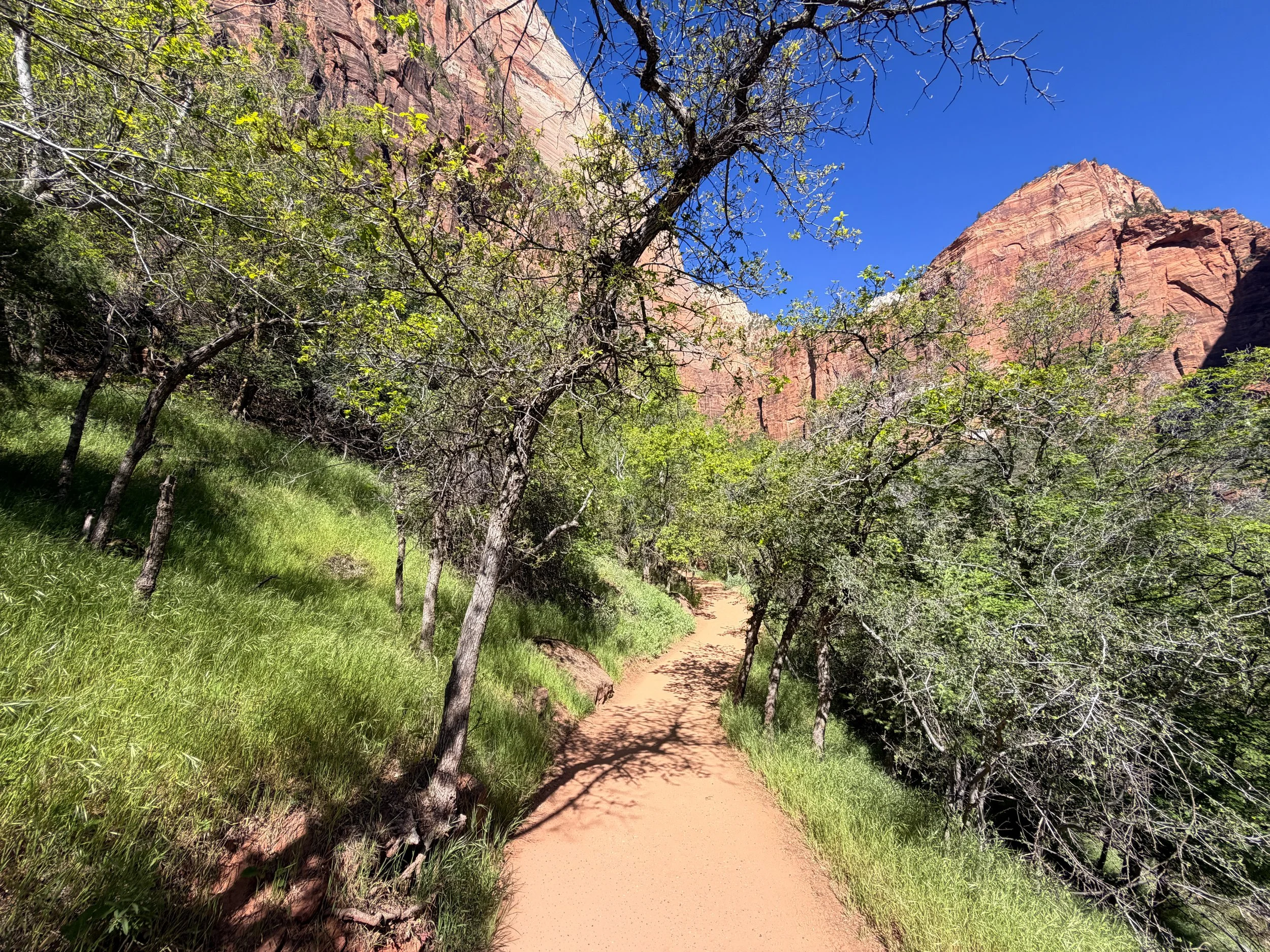 Lower Emerald Pool Trail Zion National Park Utah
