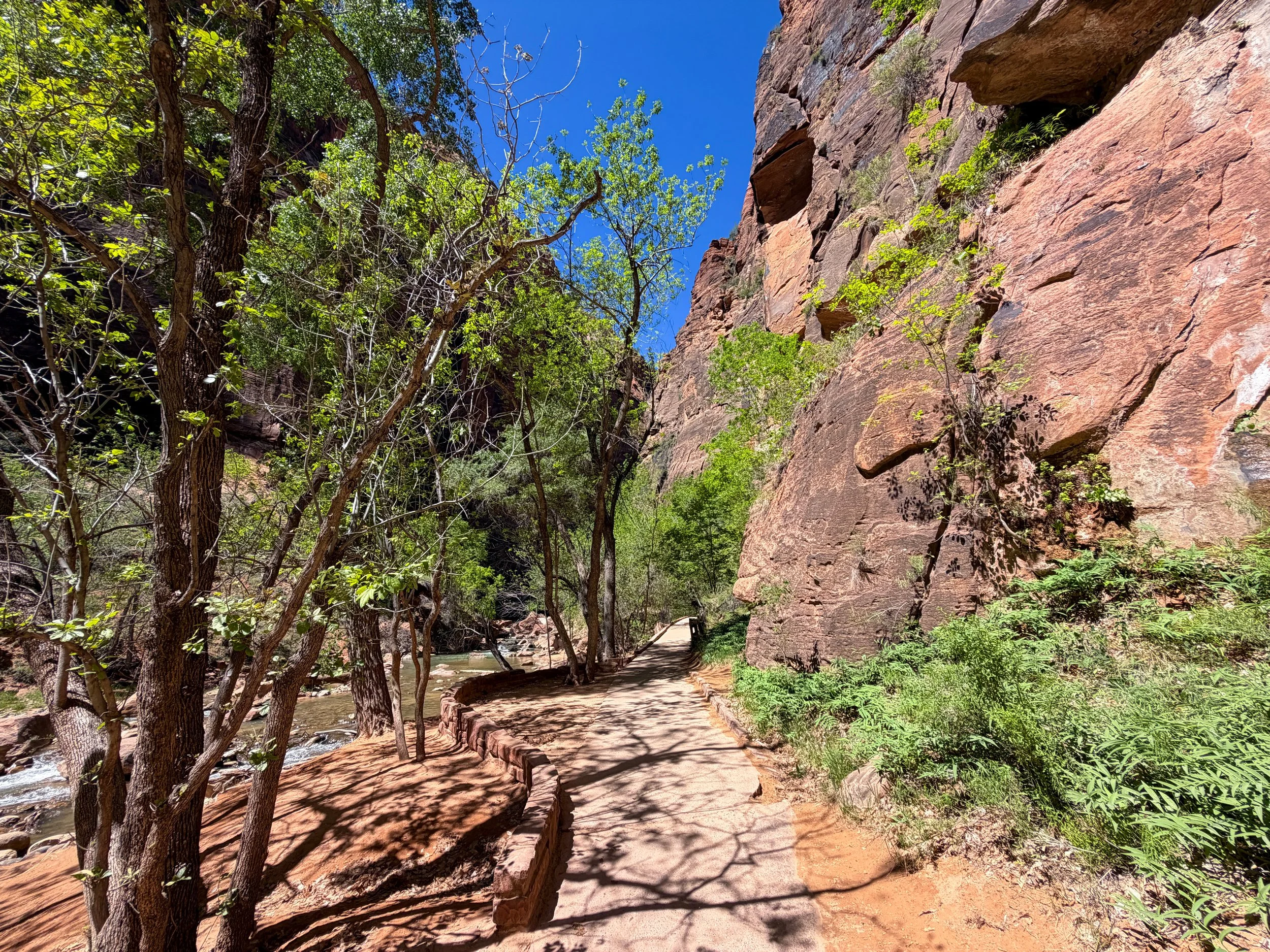 Riverside Walk Zion National Park Utah