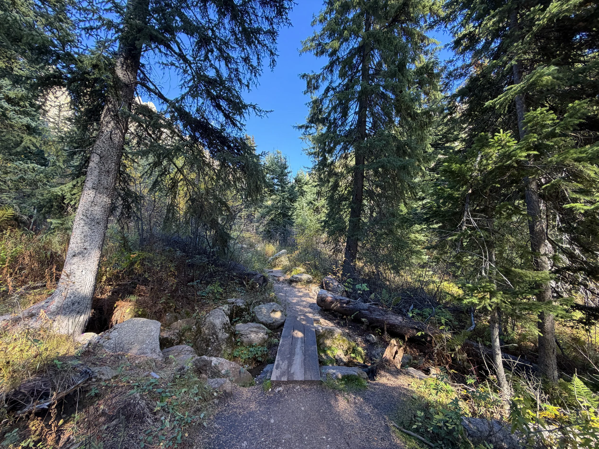 Cathedral Spires Hike Custer State Park Black Hills South Dakota