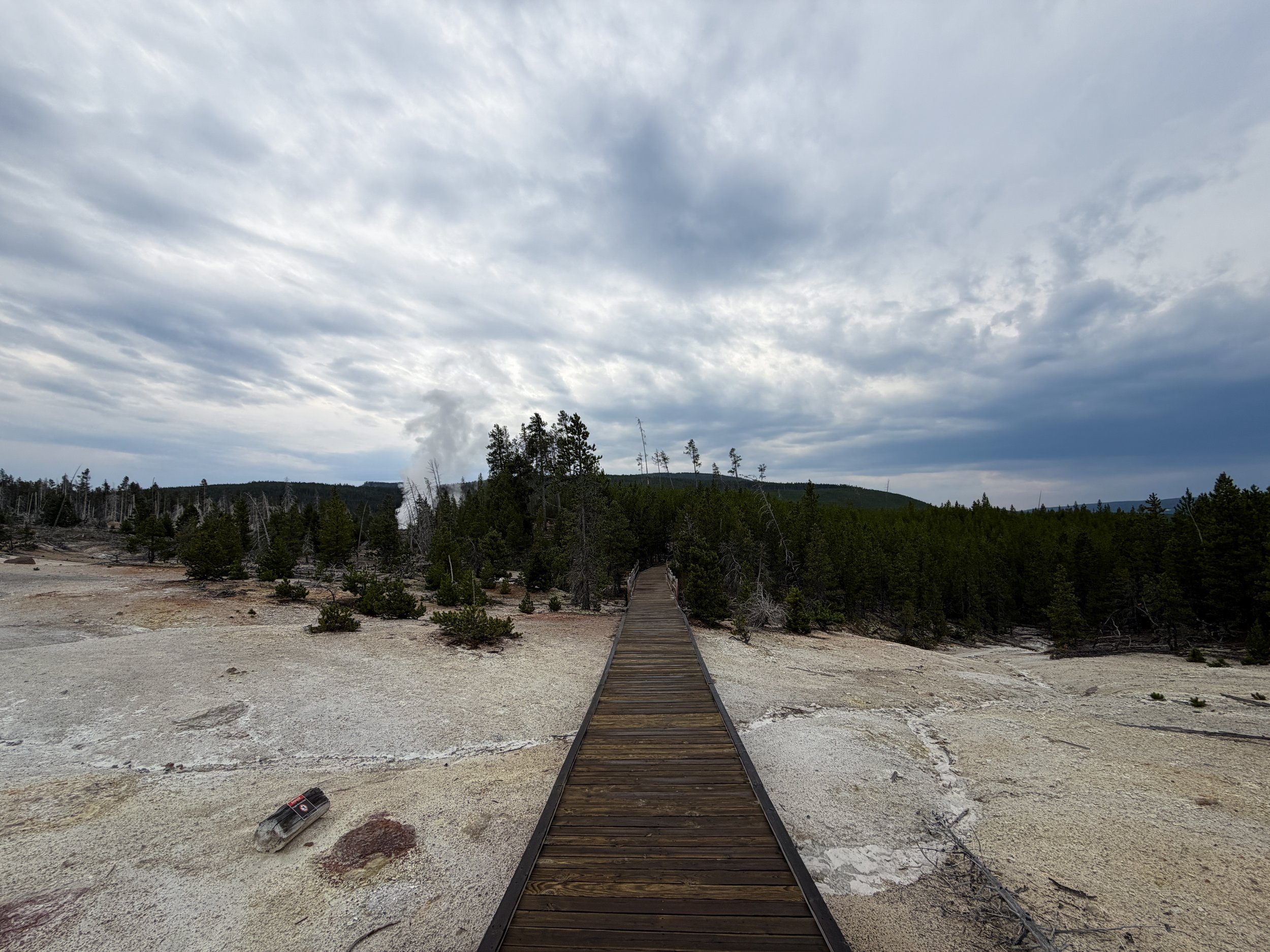 Norris Geyser Basin Trail Yellowstone National Park Wyoming