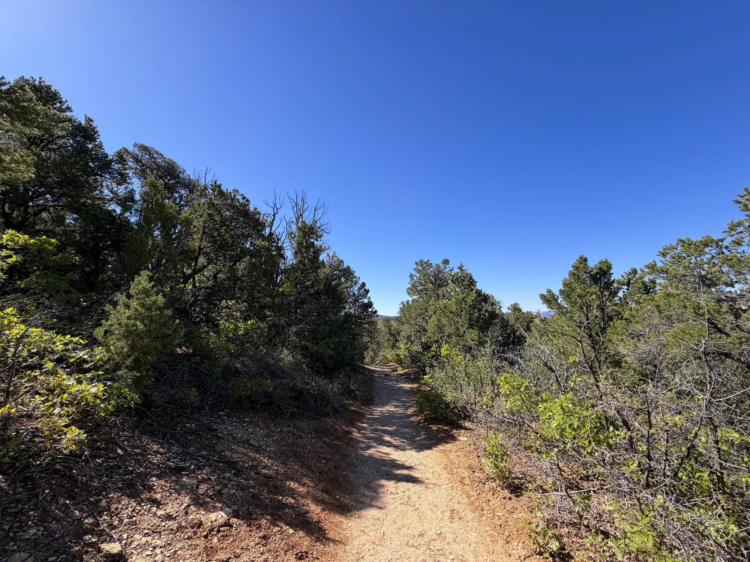 East Mesa Trail to Observation Point Zion National Park Utah
