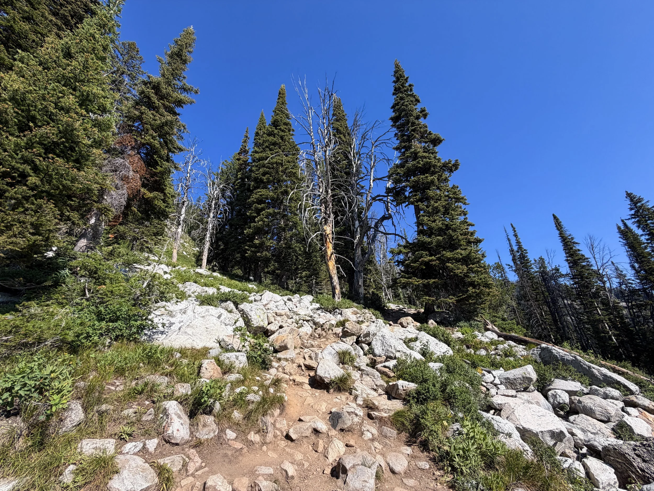 Delta Lake Trail Grand Teton National Park Wyoming