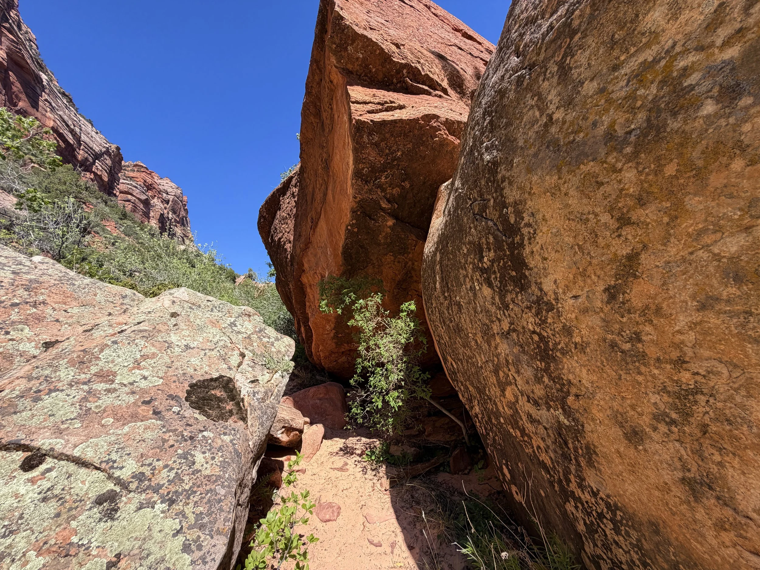 Subway Trail Left Fork North Creek Zion National Park Utah