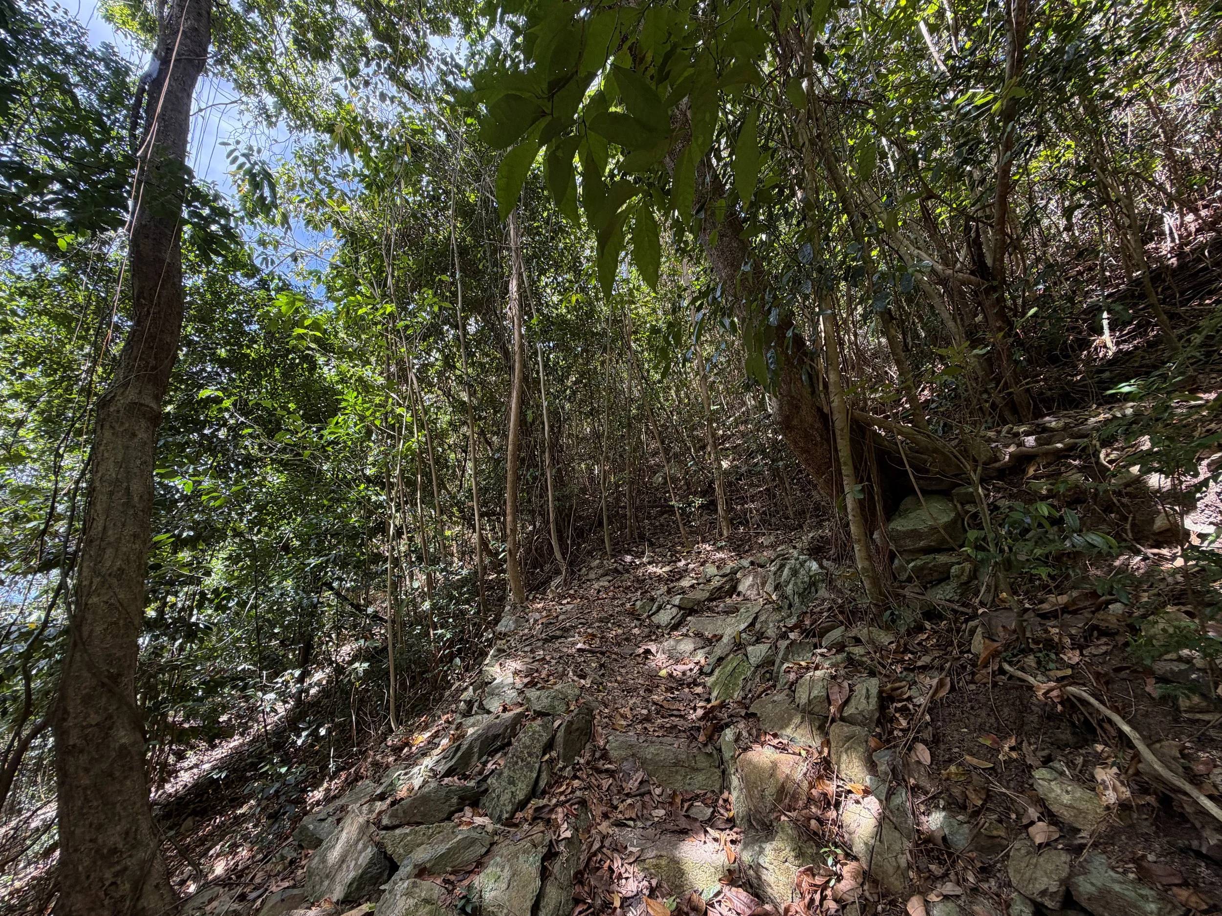 Cinnamon Bay Hike Virgin Islands National Park