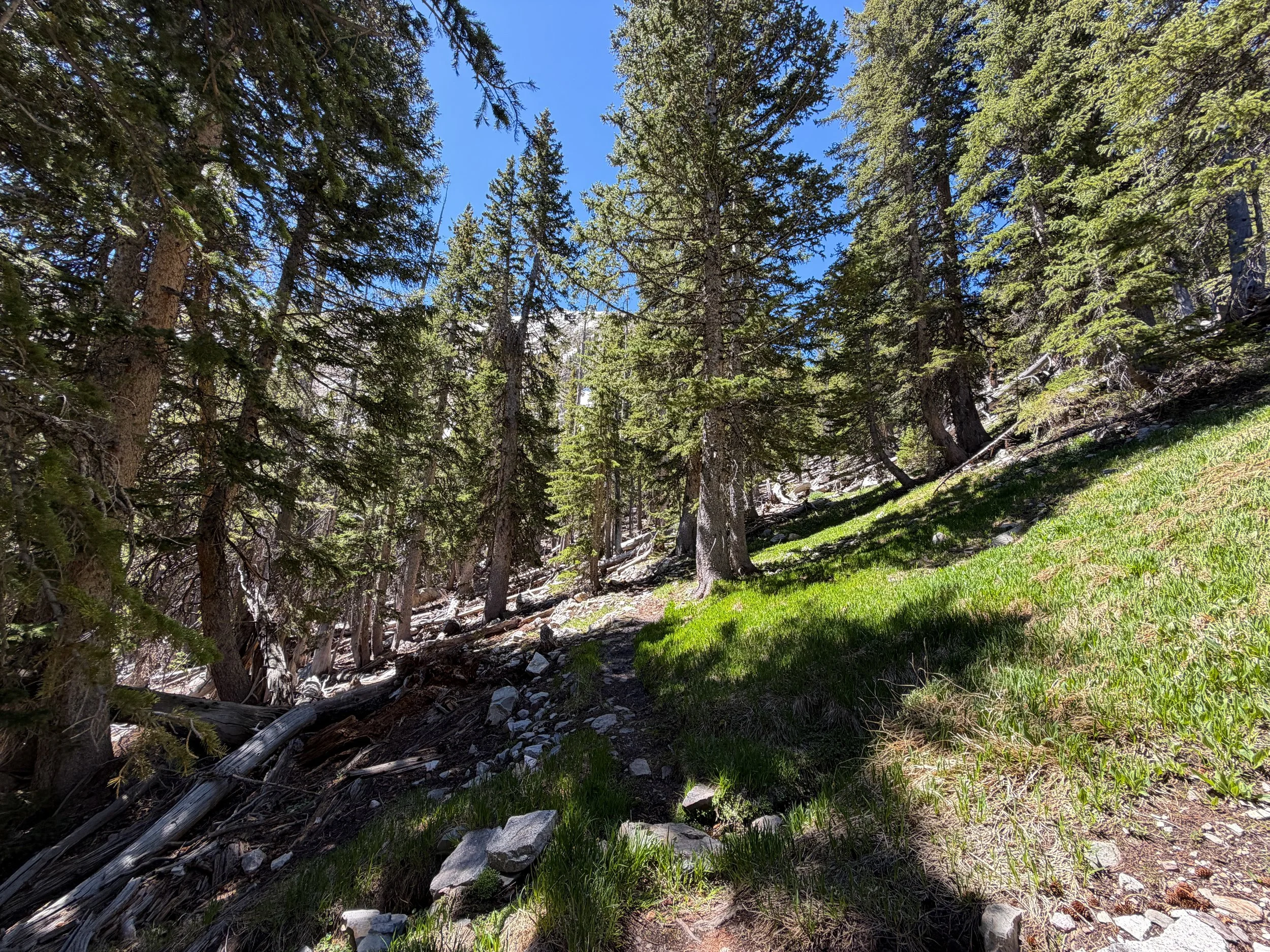 Baker Lake Trail Great Basin National Park Nevada