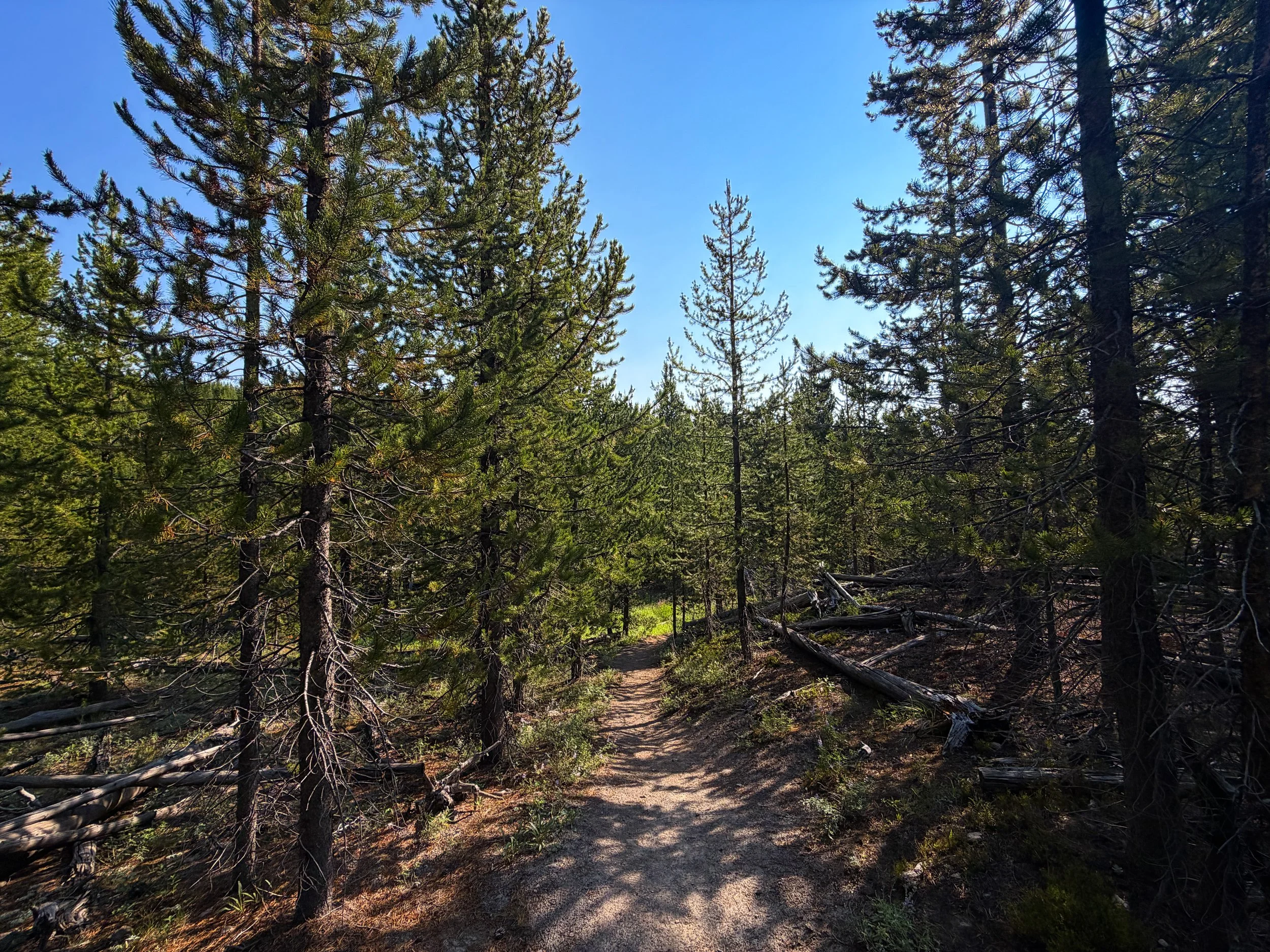 Mystic Falls Loop Trail Yellowstone National Park Wyoming