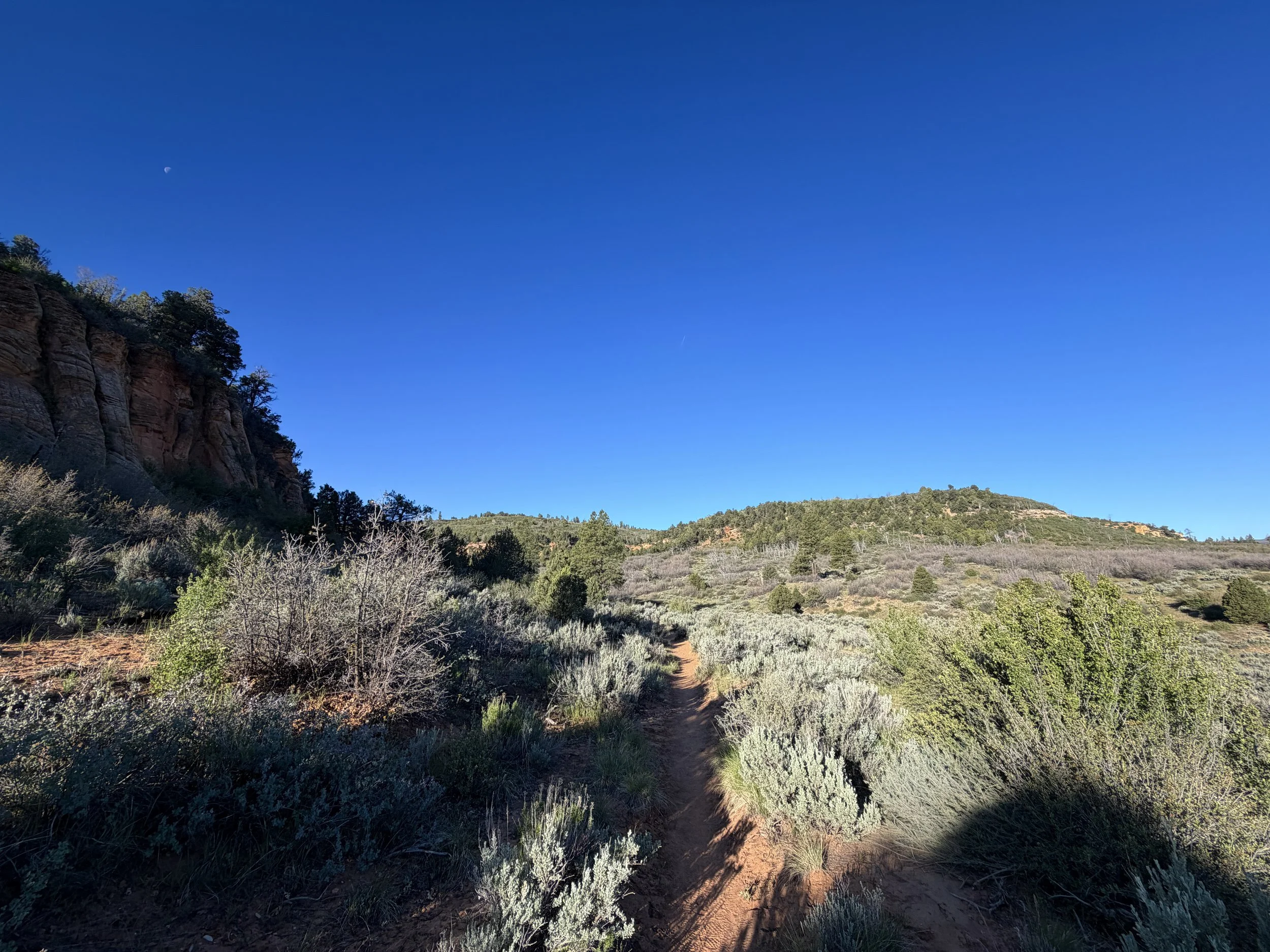 Deertrap Mountain Trail Zion National Park Utah