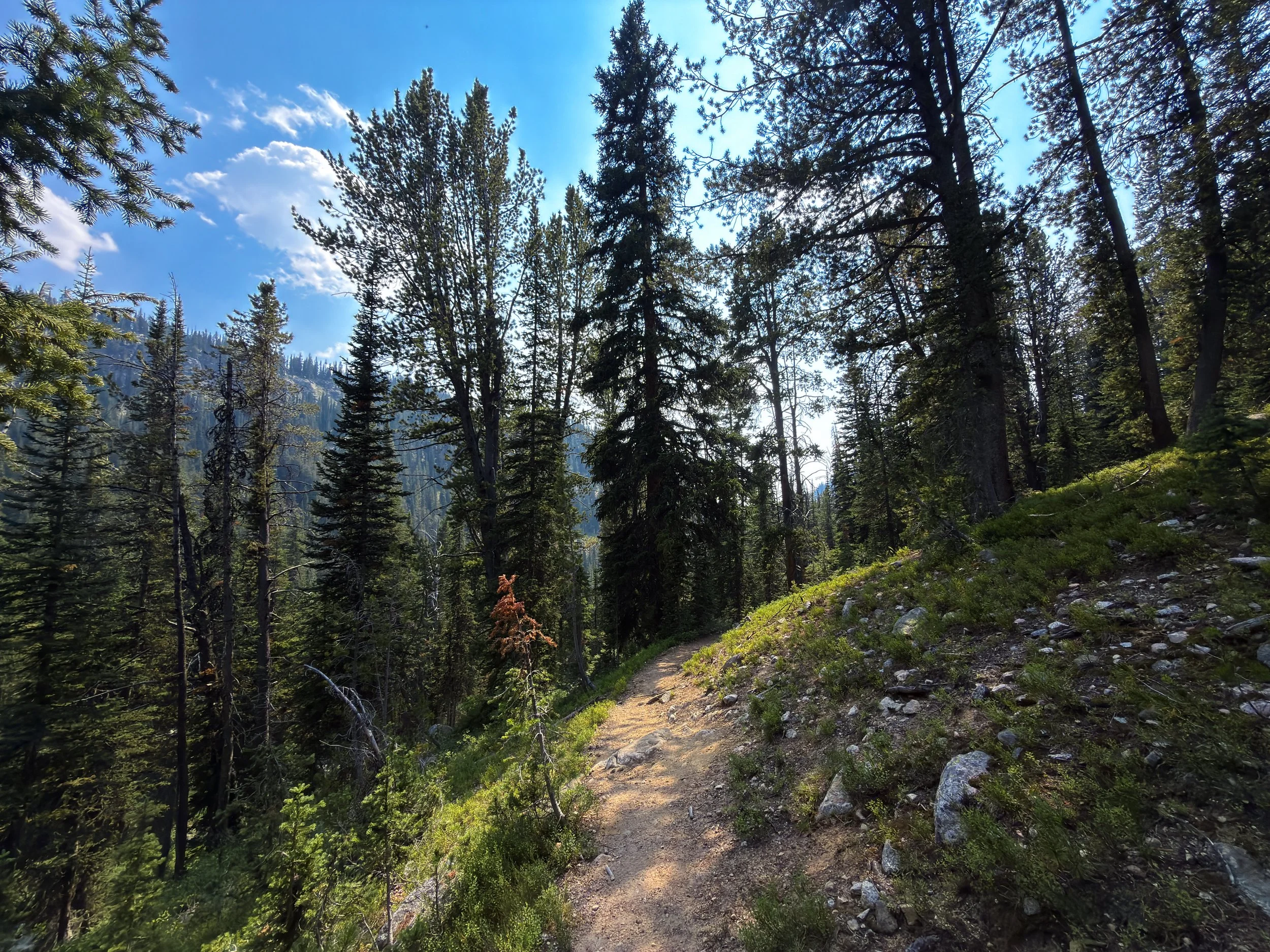 Russell Creek Trail The Beaten Path Beartooth Mountains Montana