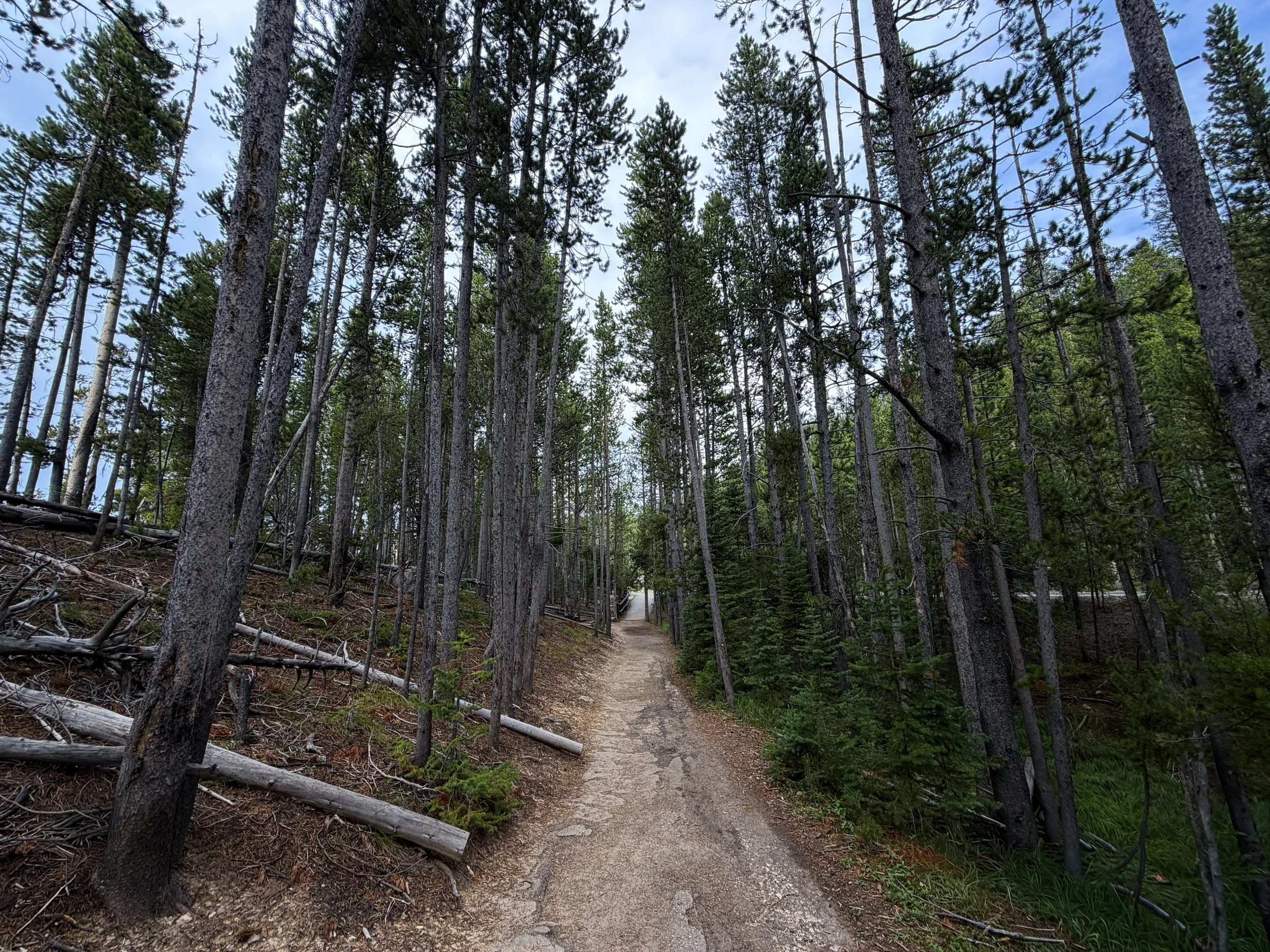 South Rim Trail Yellowstone National Park Wyoming