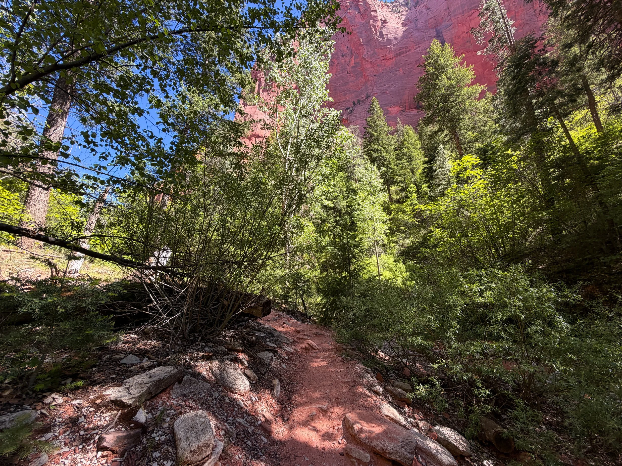 Middle Taylor Creek Trail Zion National Park Utah