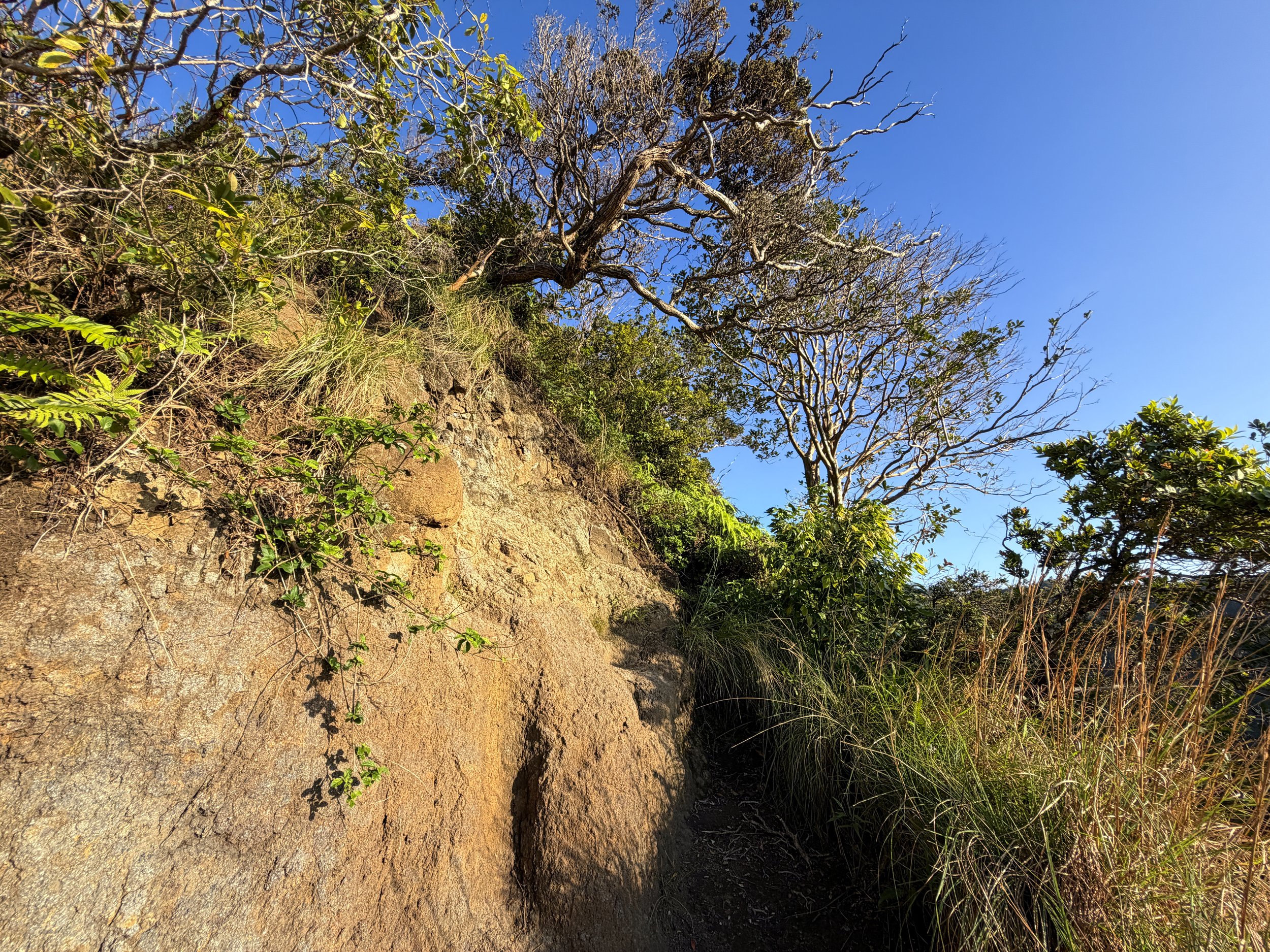 Back Way to Stairway to Heaven Moanalua Middle Ridge Hike Oahu Hawaii