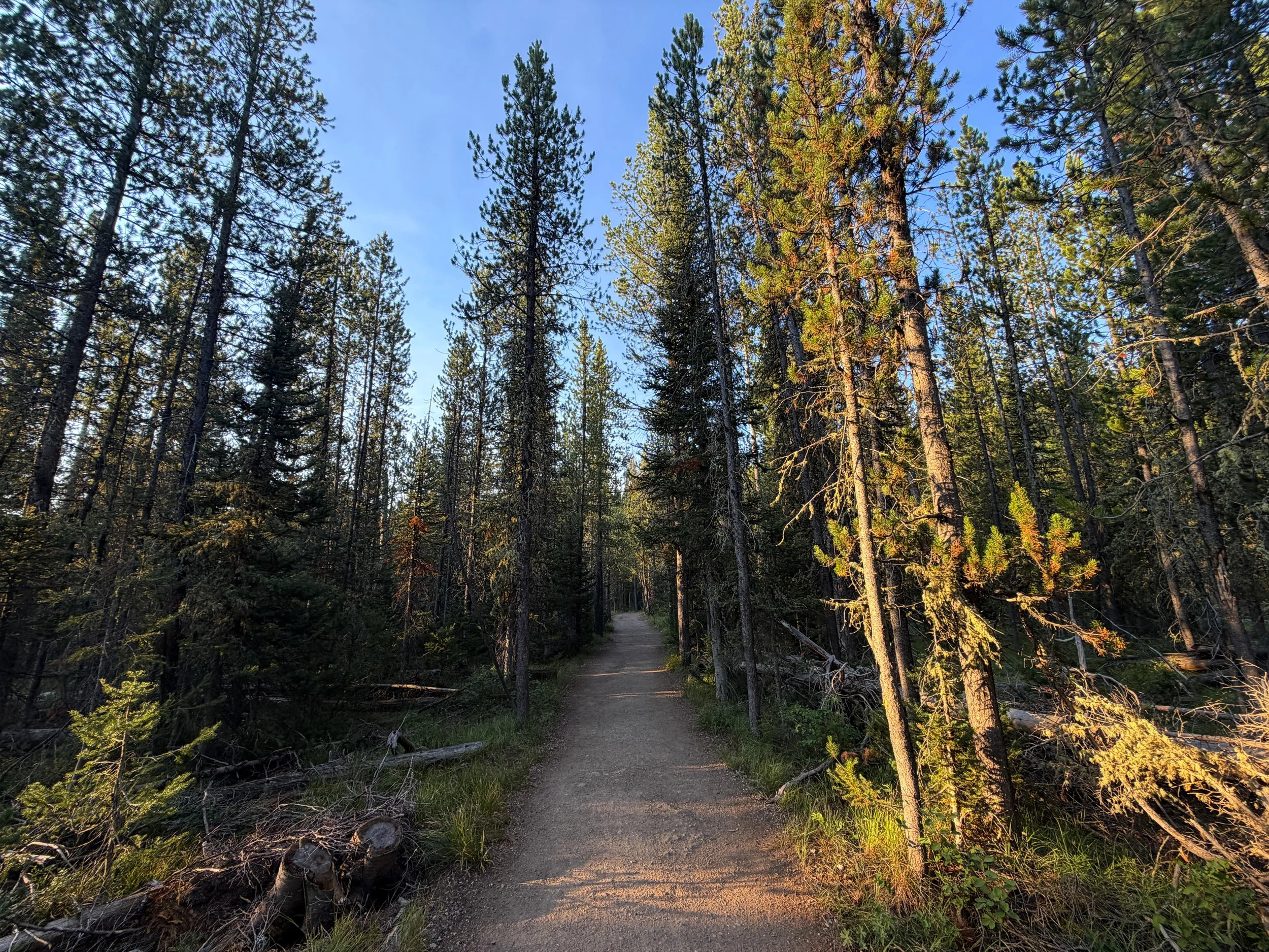 Delta Lake Trail Grand Teton National Park Wyoming
