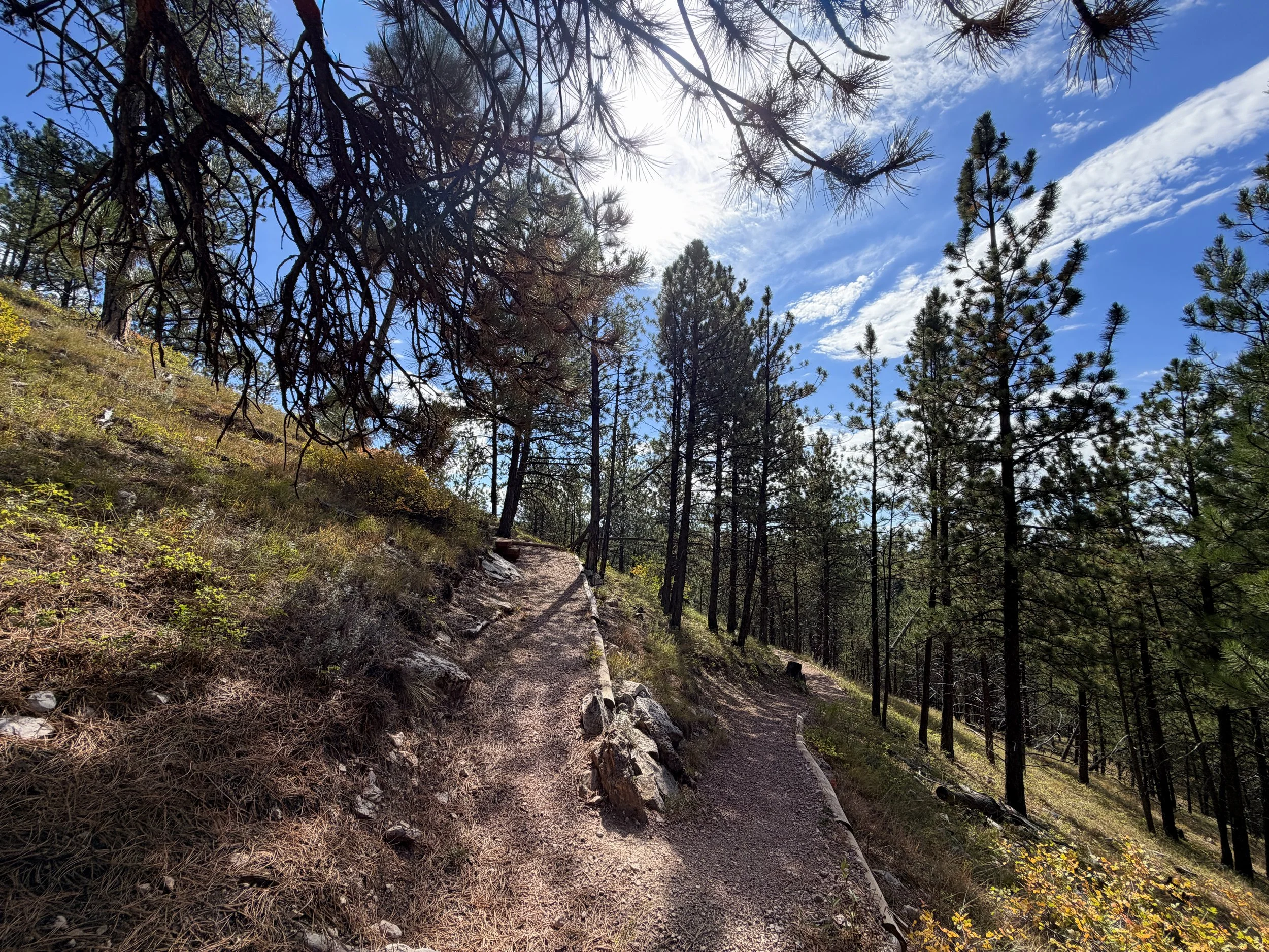 Canyons Trail Switchbacks Jewel Cave National Monument Black Hills South Dakota