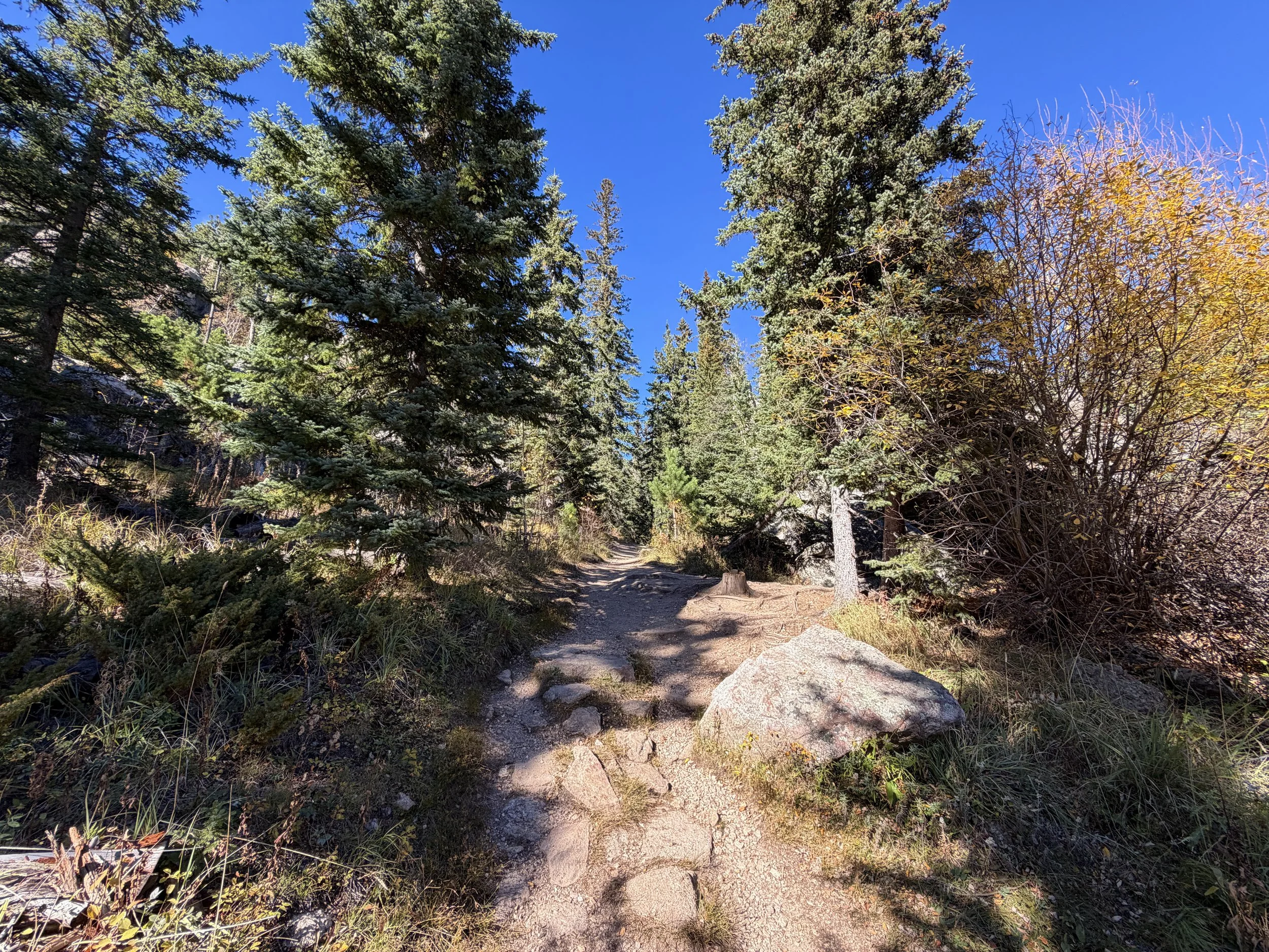 Cathedral Spires Trail Custer State Park Black Hills South Dakota