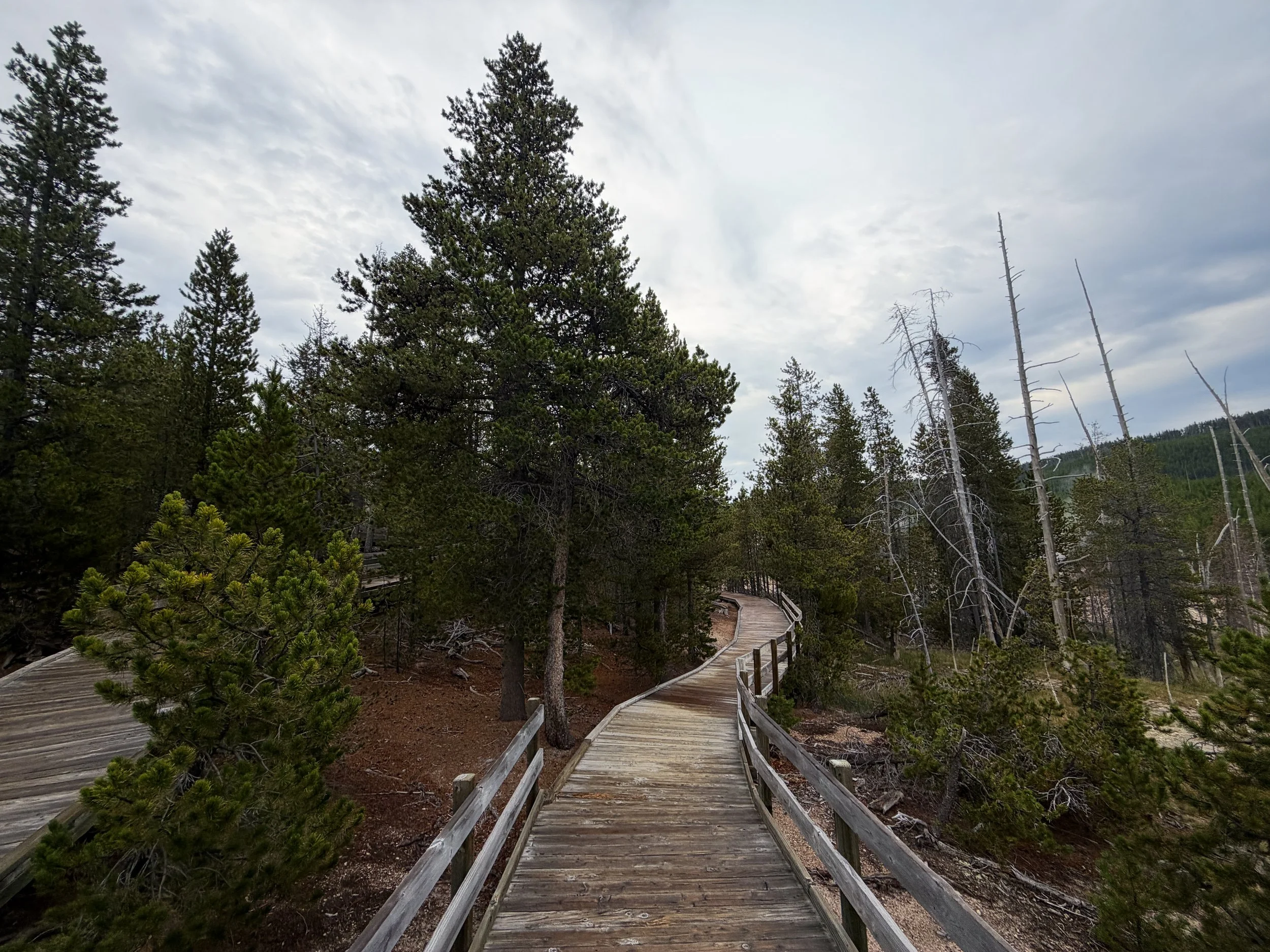 Back Basin Loop Trail Norris Geyser Basin Yellowstone National Park Wyoming
