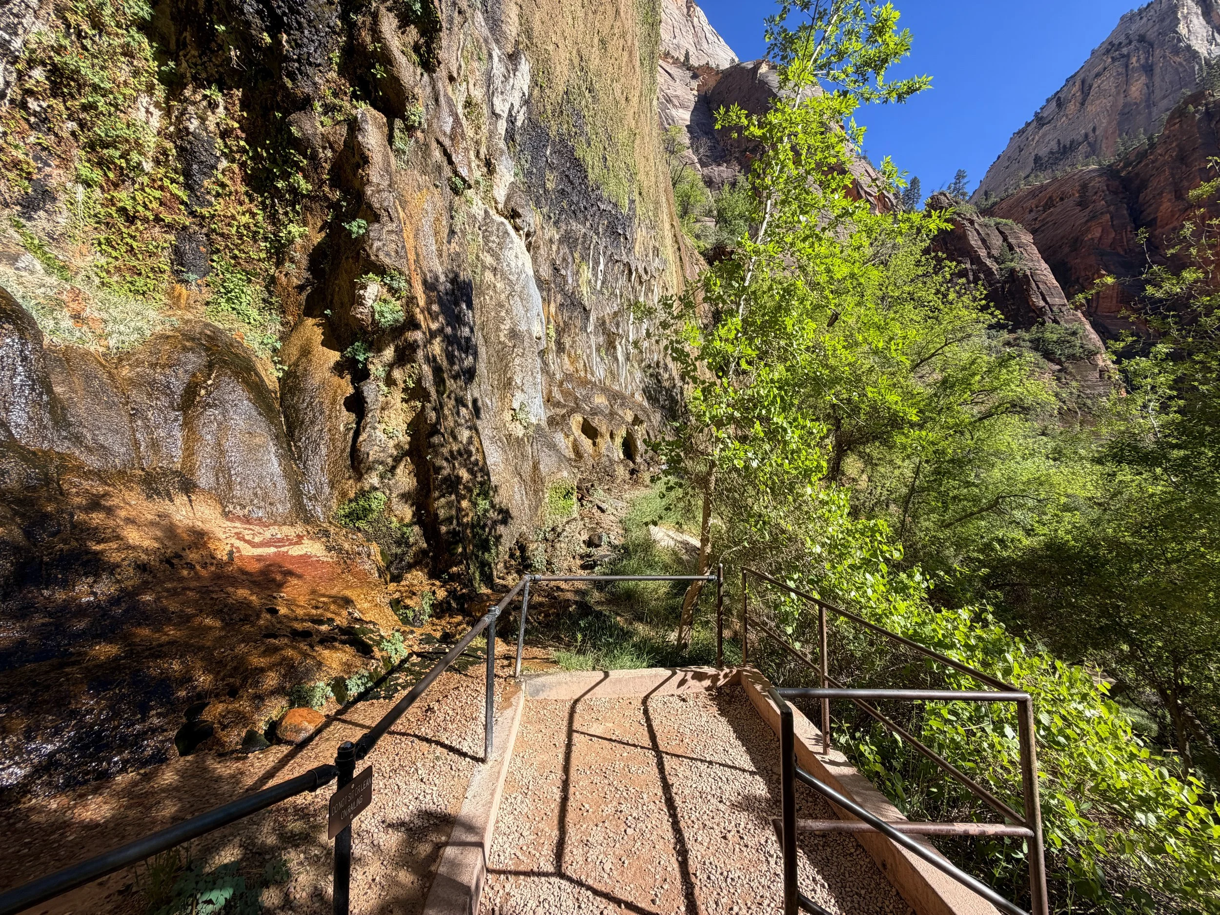 Weeping Rock Zion National Park Utah