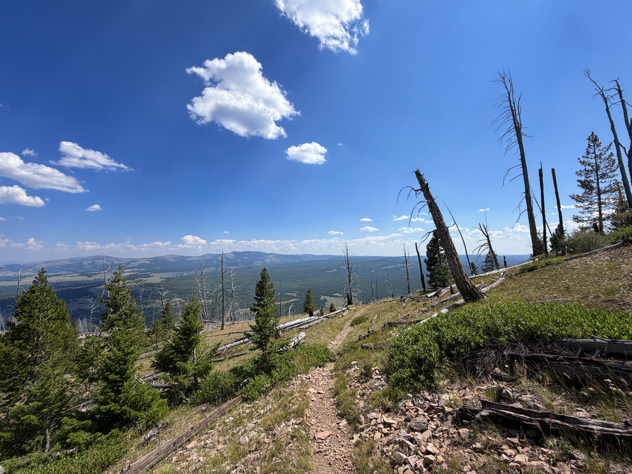 Bunsen Peak Loop Trail Yellowstone National Park Wyoming