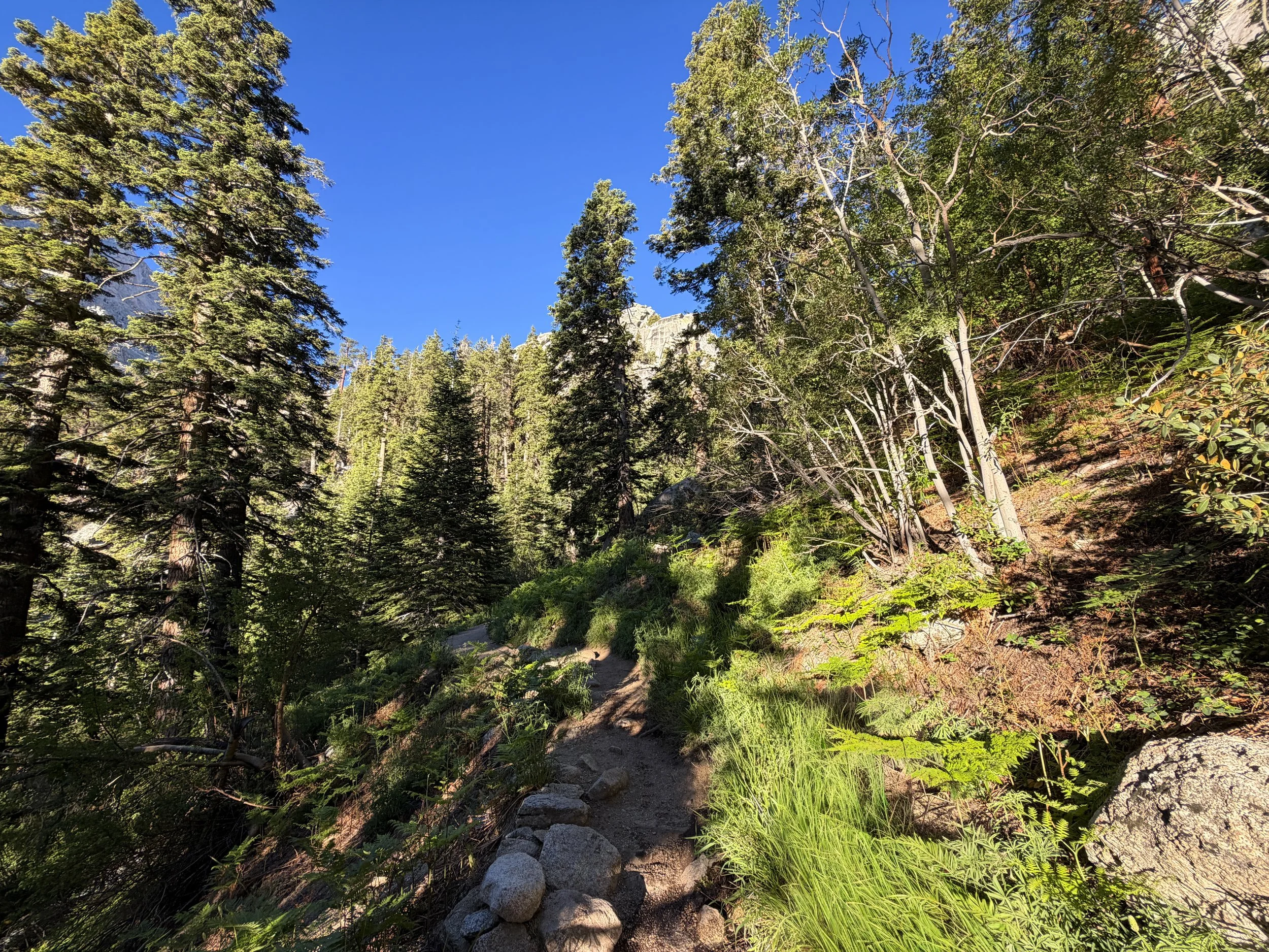 Mount Whitney Trail Lone Pine California