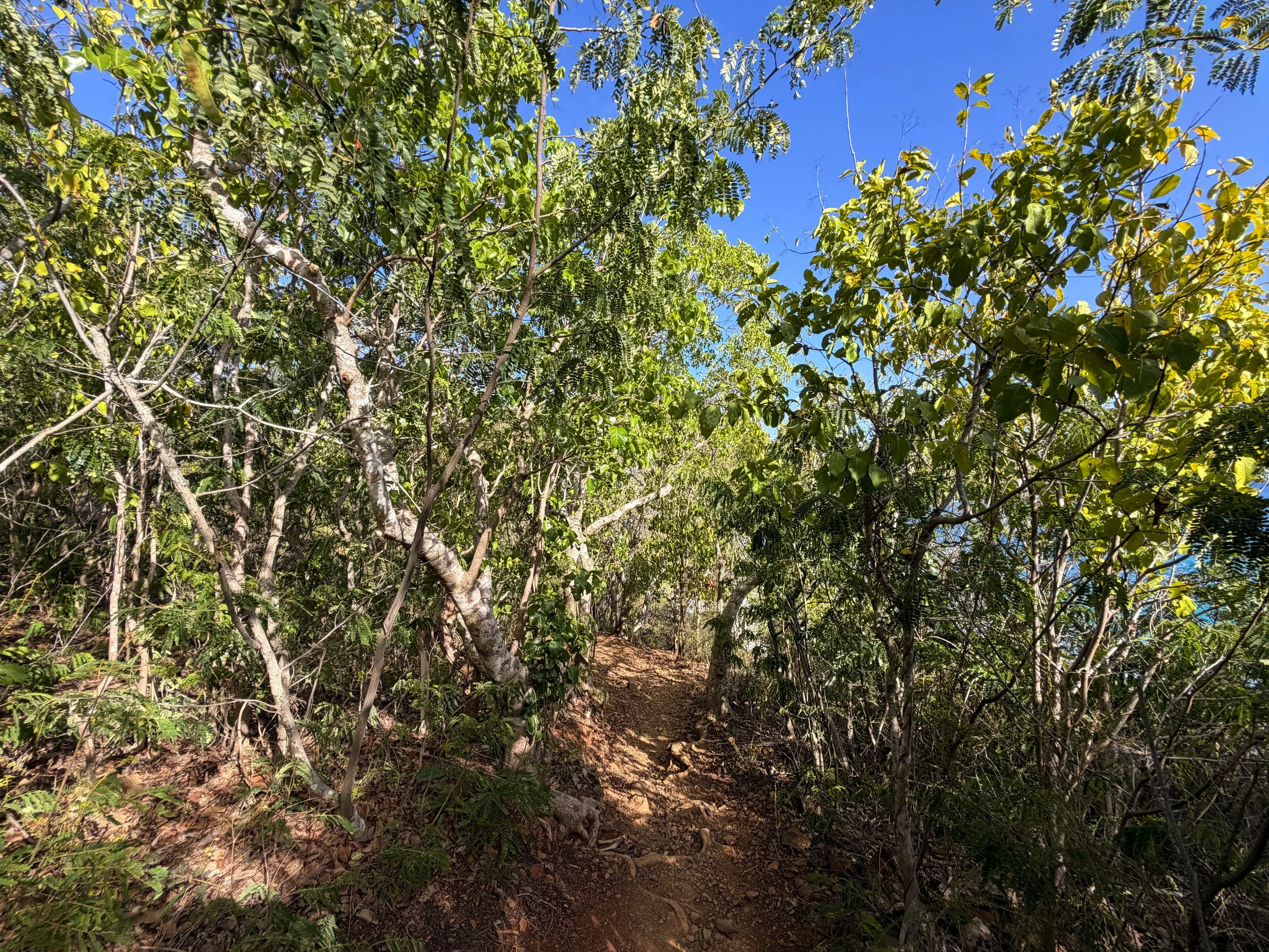 Rams Head Trail Virgin Islands National Park