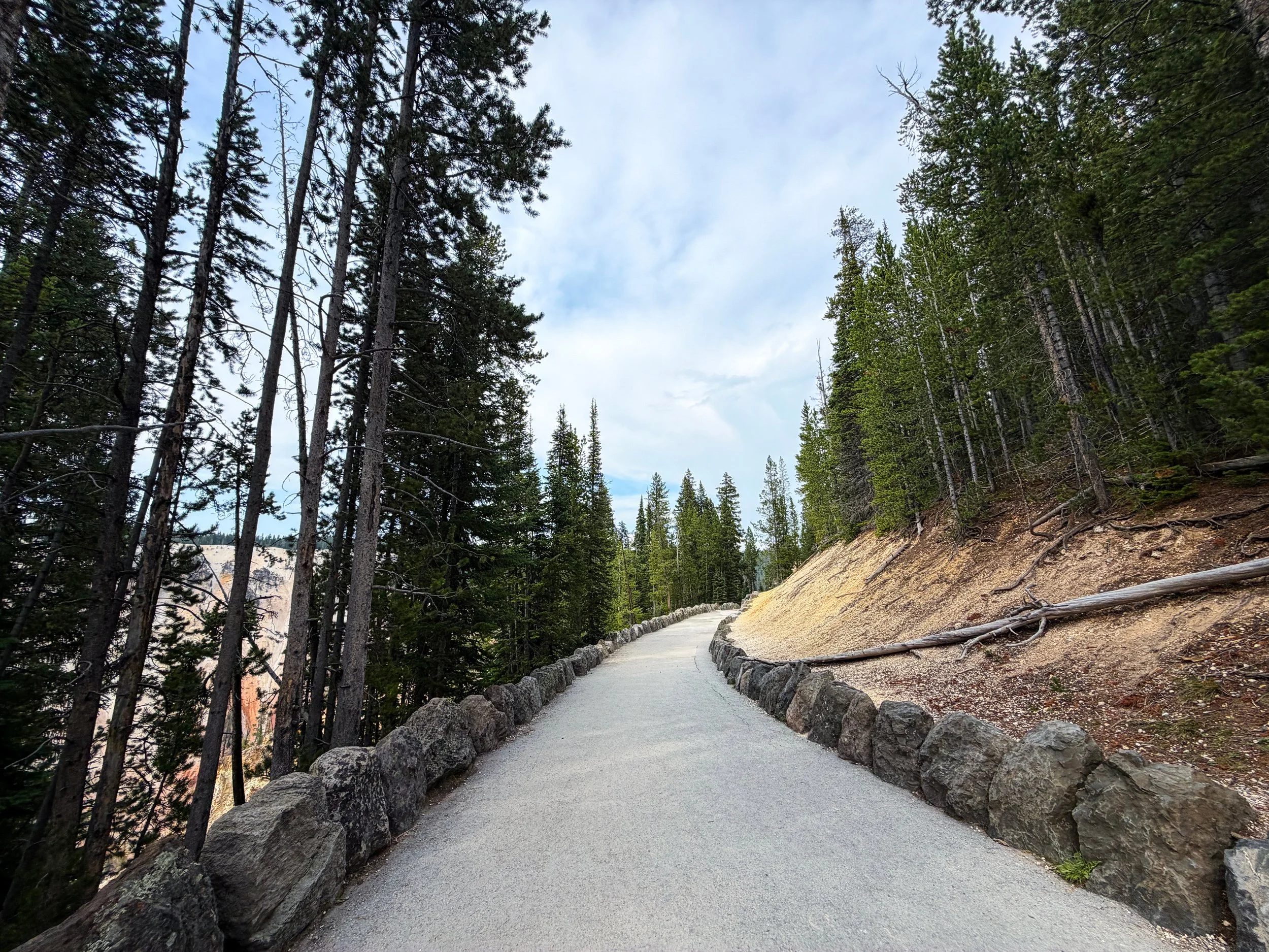 Artist Point Trail Yellowstone National Park Wyoming