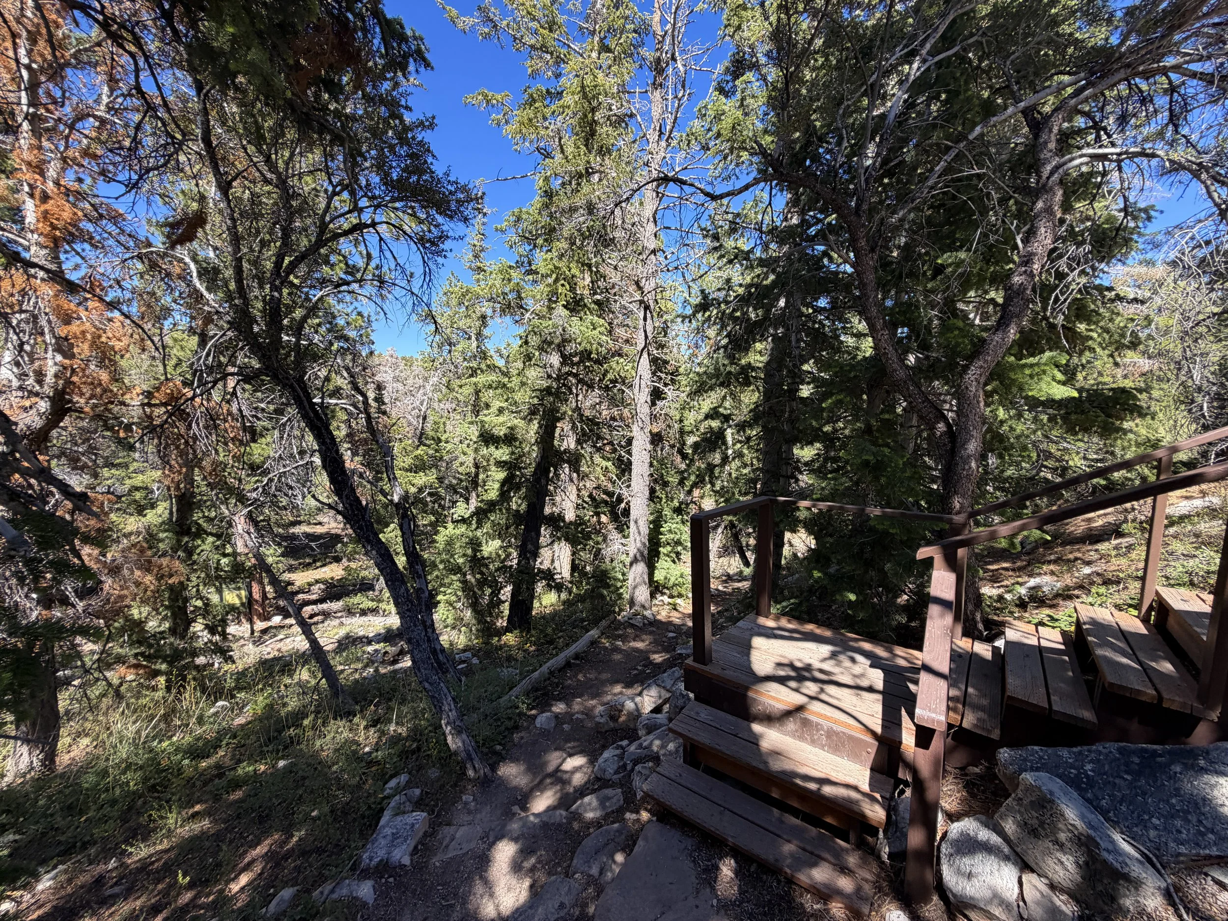 Osceola Ditch Trail Great Basin National Park Nevada