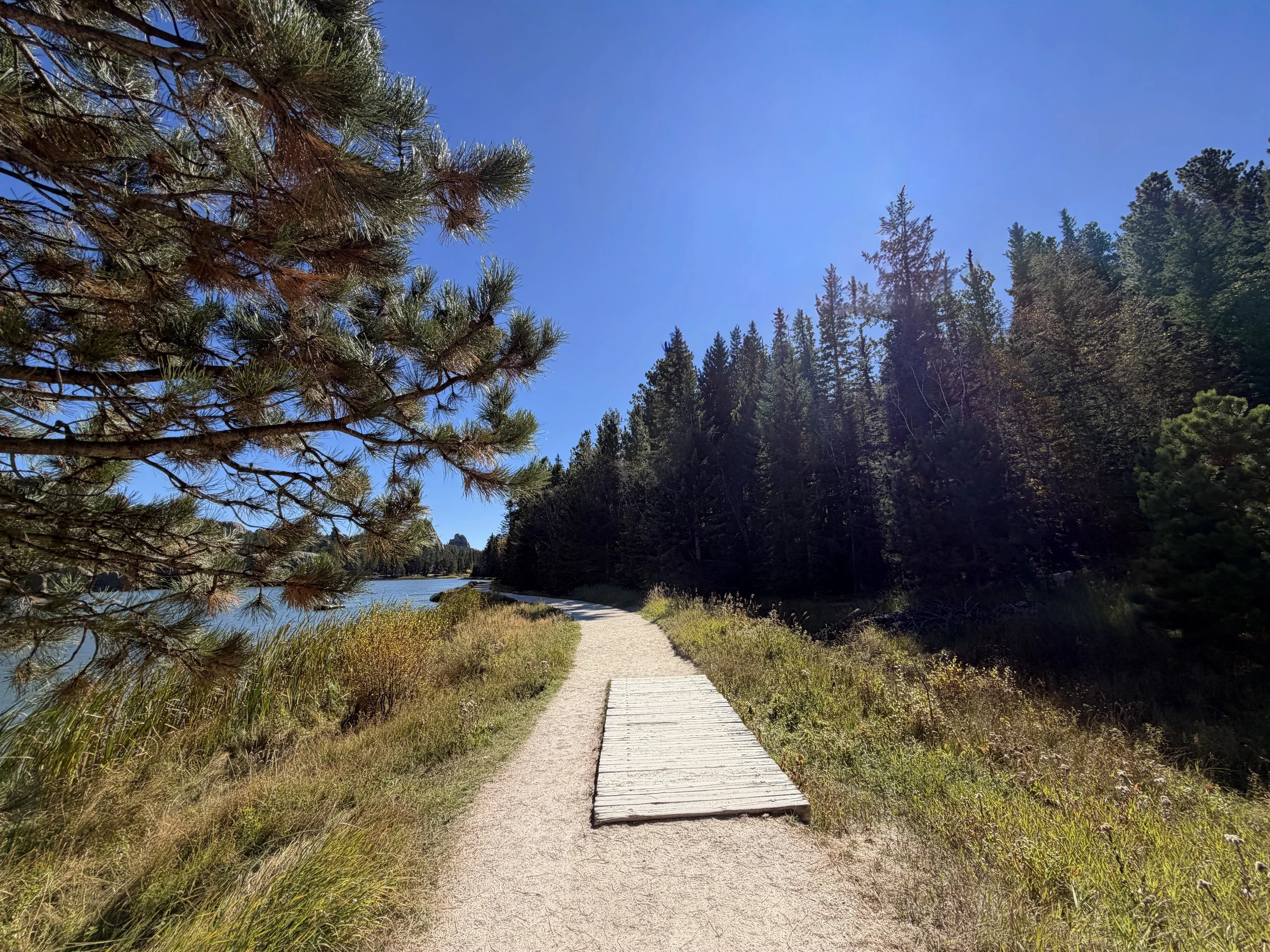 Sylvan Lake Loop to Sunday Gulch Trail Custer State Park Black Hills South Dakota