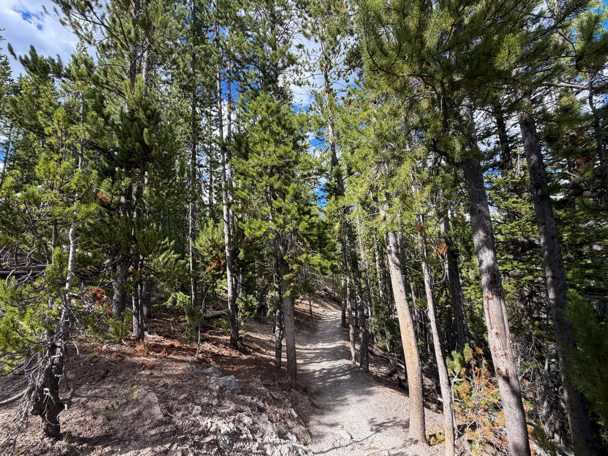 North Rim Trail Yellowstone National Park Wyoming