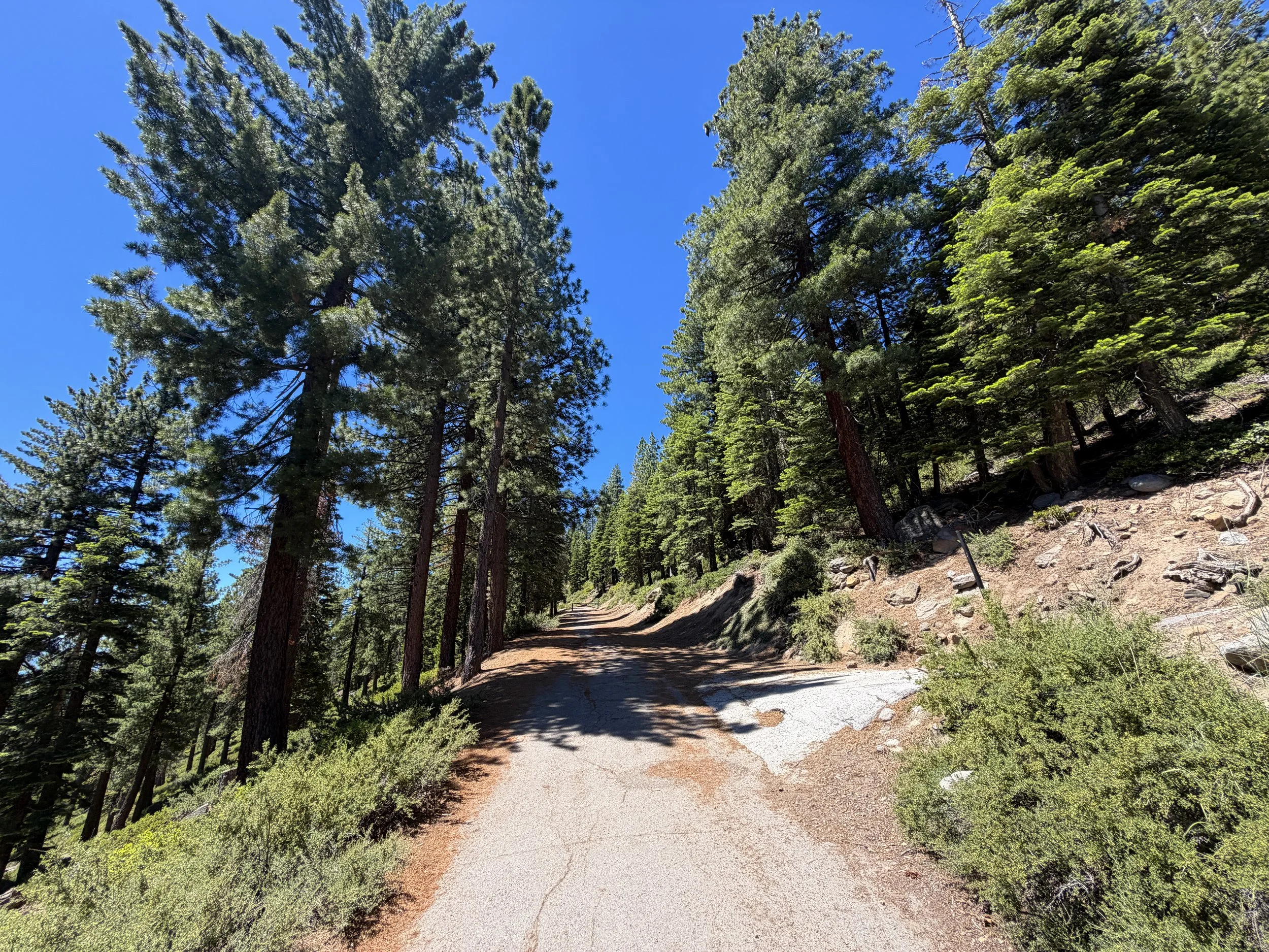 Stateline Lookout Trail Lake Tahoe Nevada