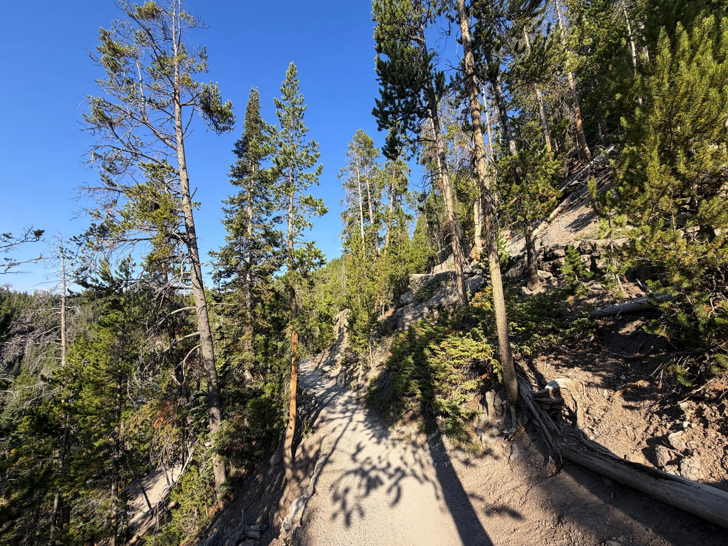 Brink of the Lower Falls Hike Yellowstone National Park Wyoming