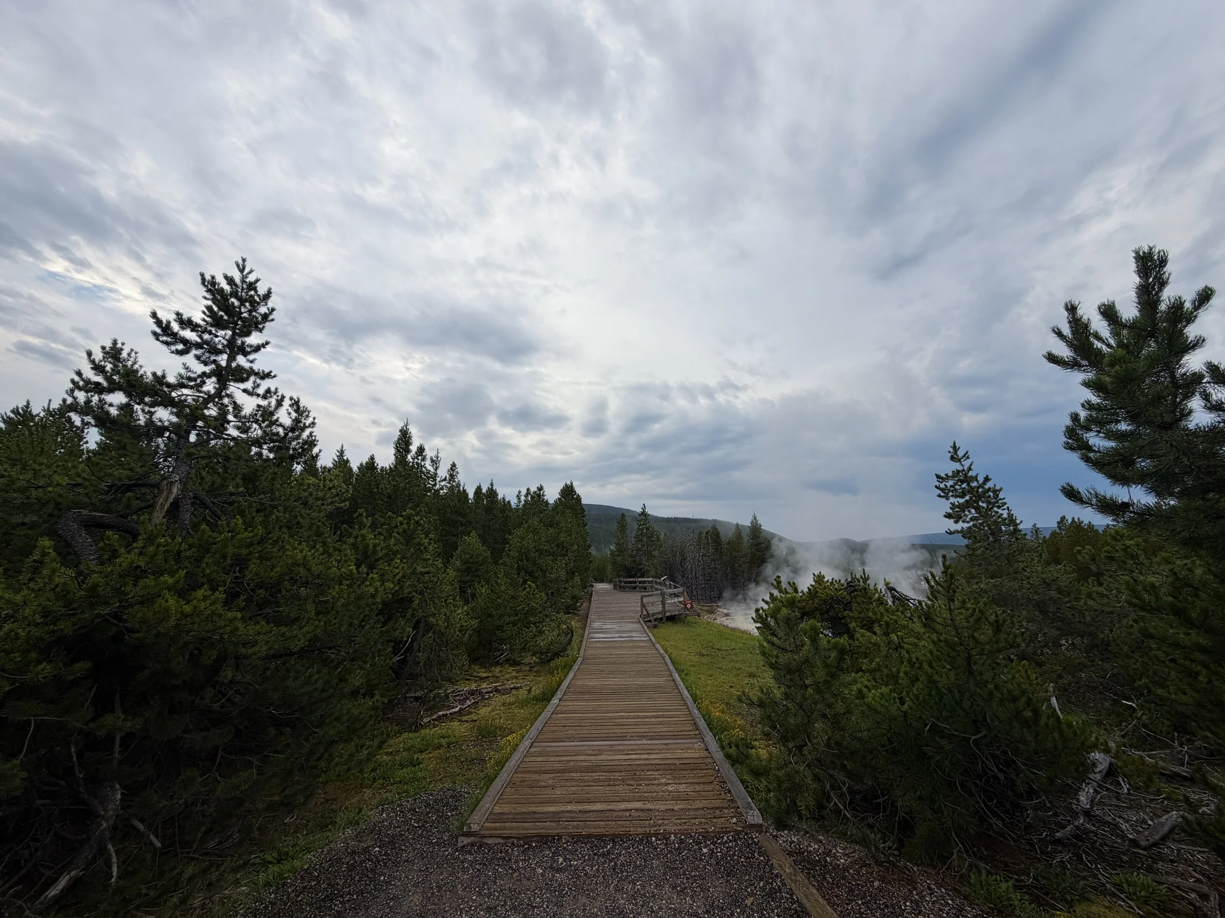 Norris Geyser Basin Trail Yellowstone National Park Wyoming