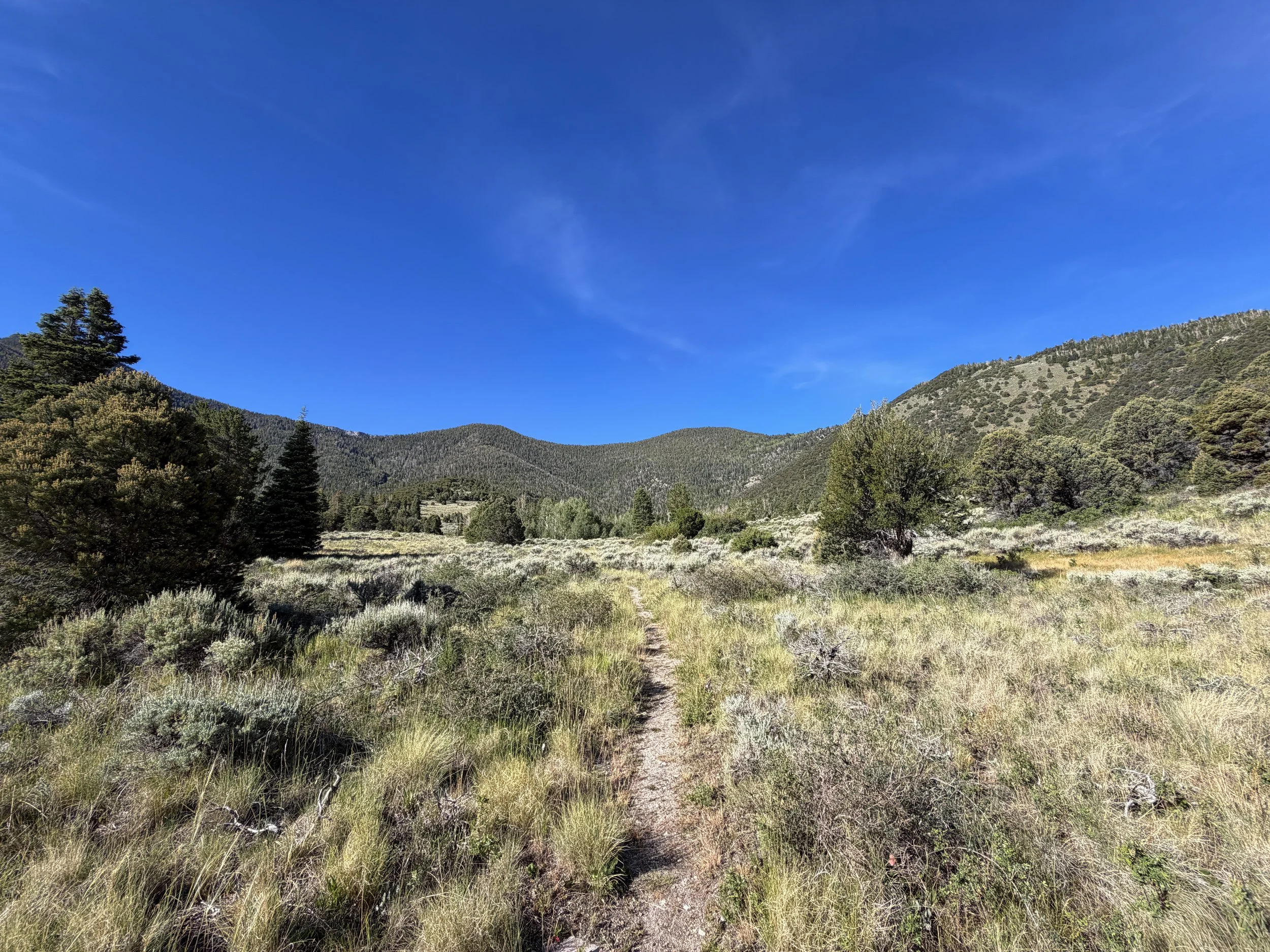Pole Canyon Loop Trail Great Basin National Park Nevada