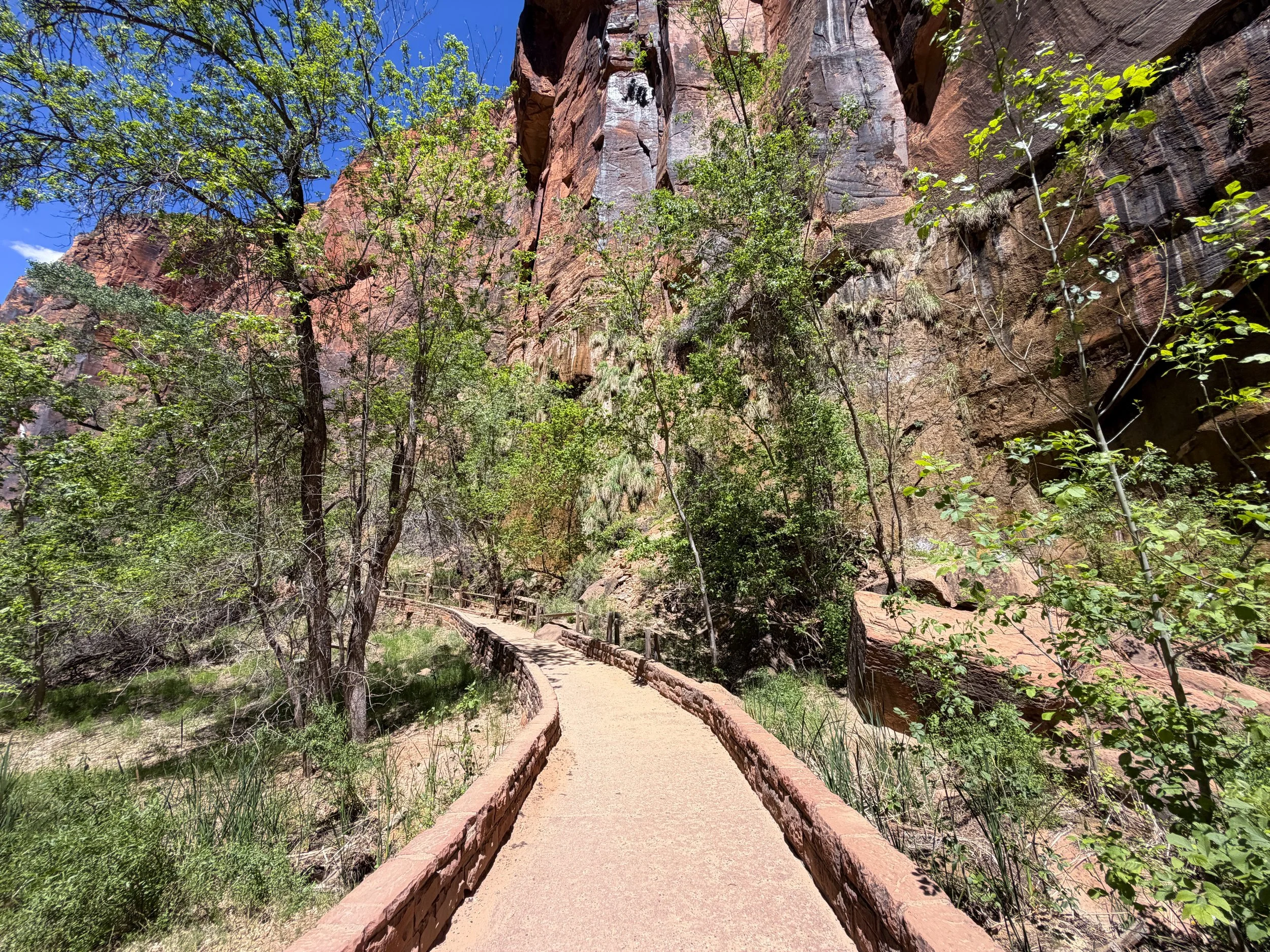 Riverside Walk Hike Zion National Park Utah
