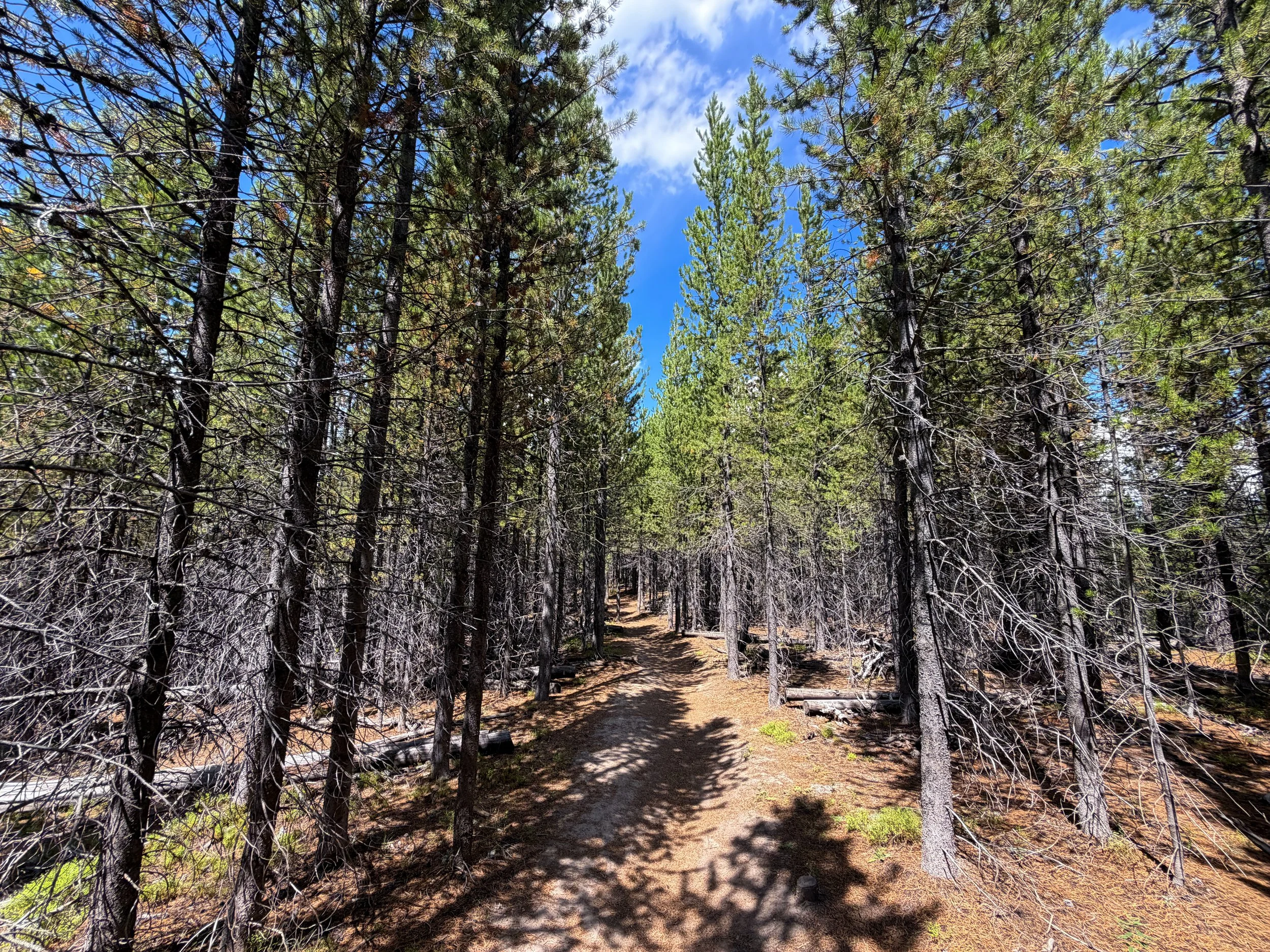 Duck Lake Hike Yellowstone National Park Wyoming