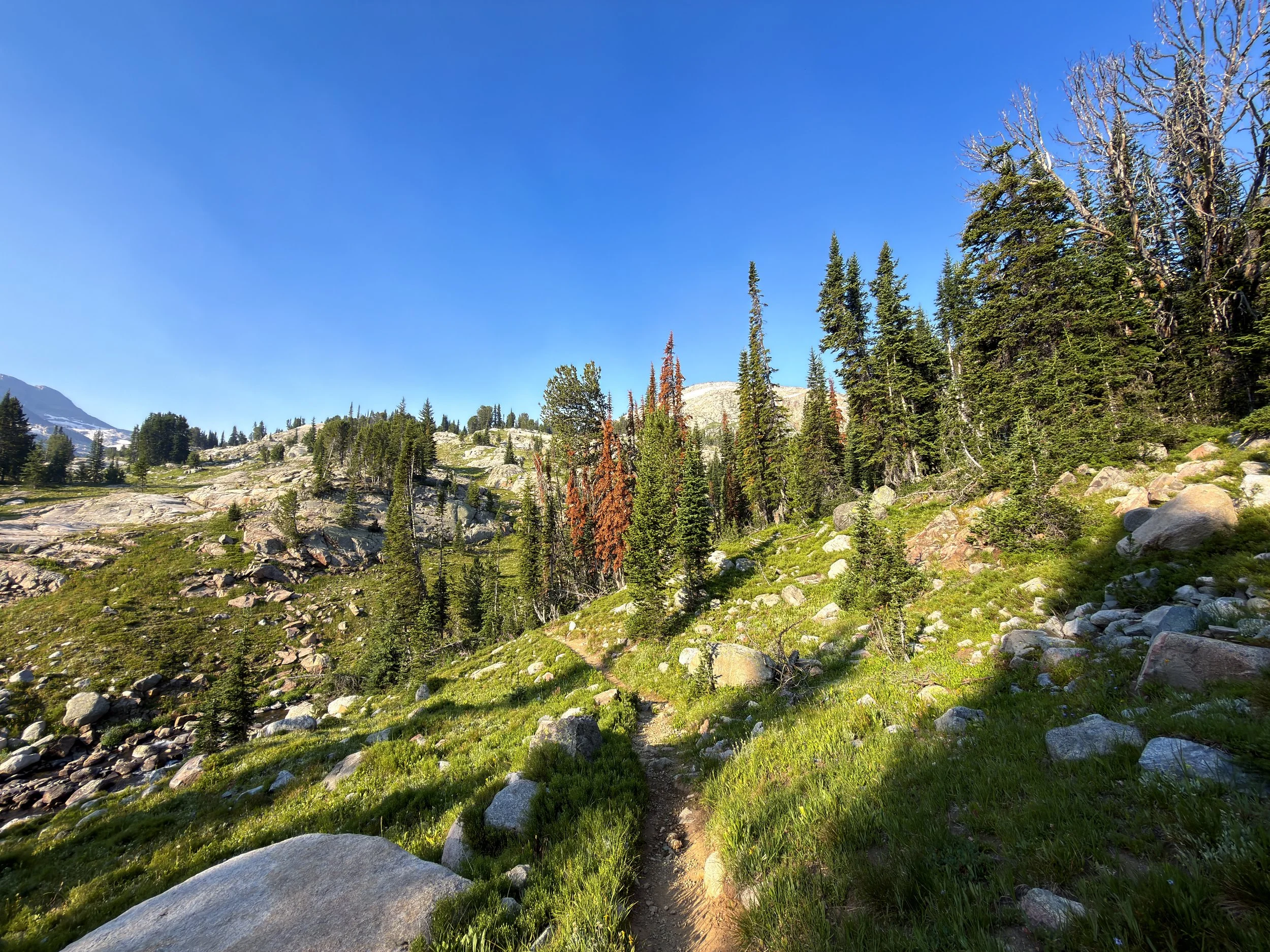 Beaten Path Hike Beartooth Mountains Montana