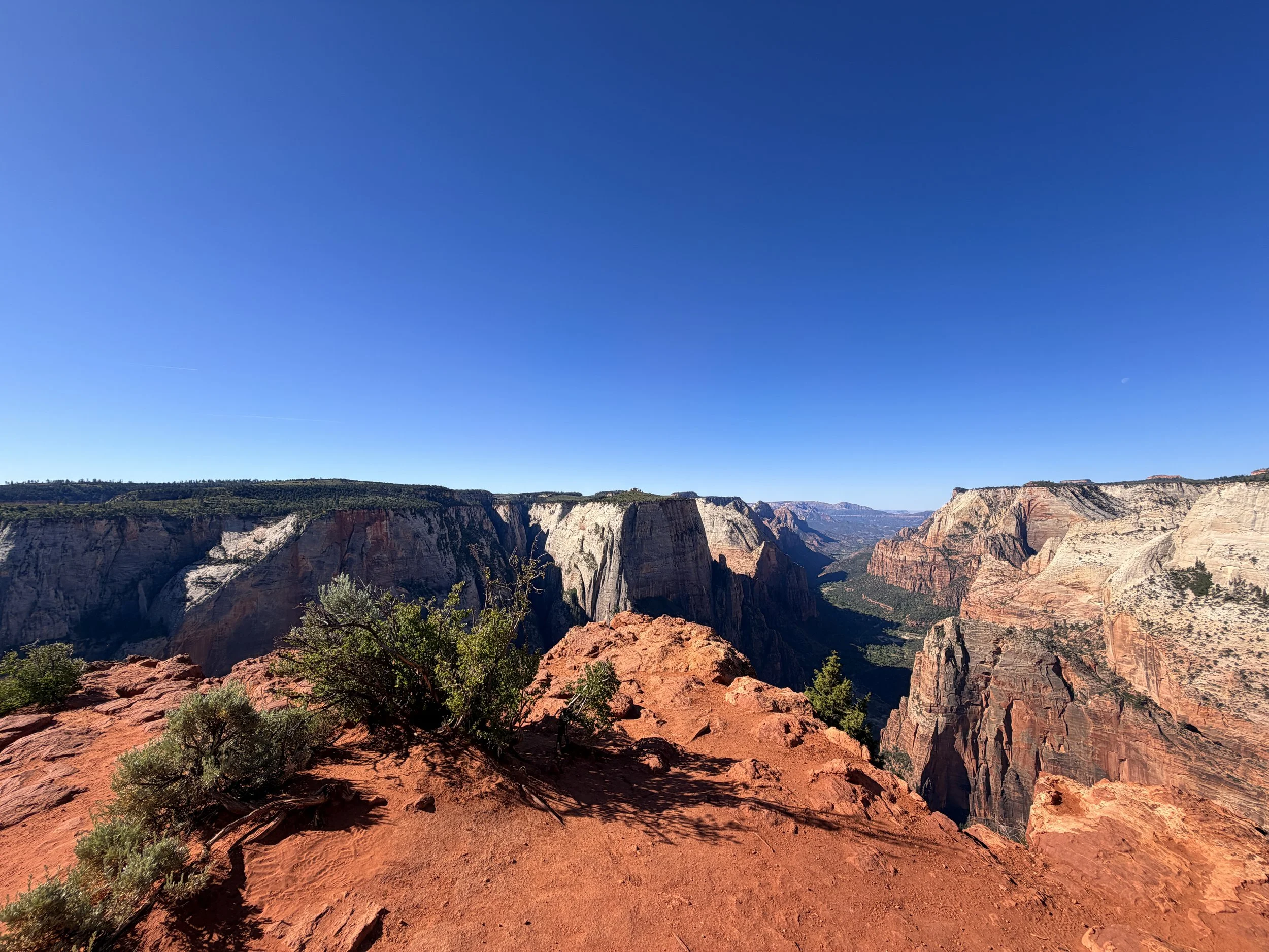Observation Point Zion National Park Utah