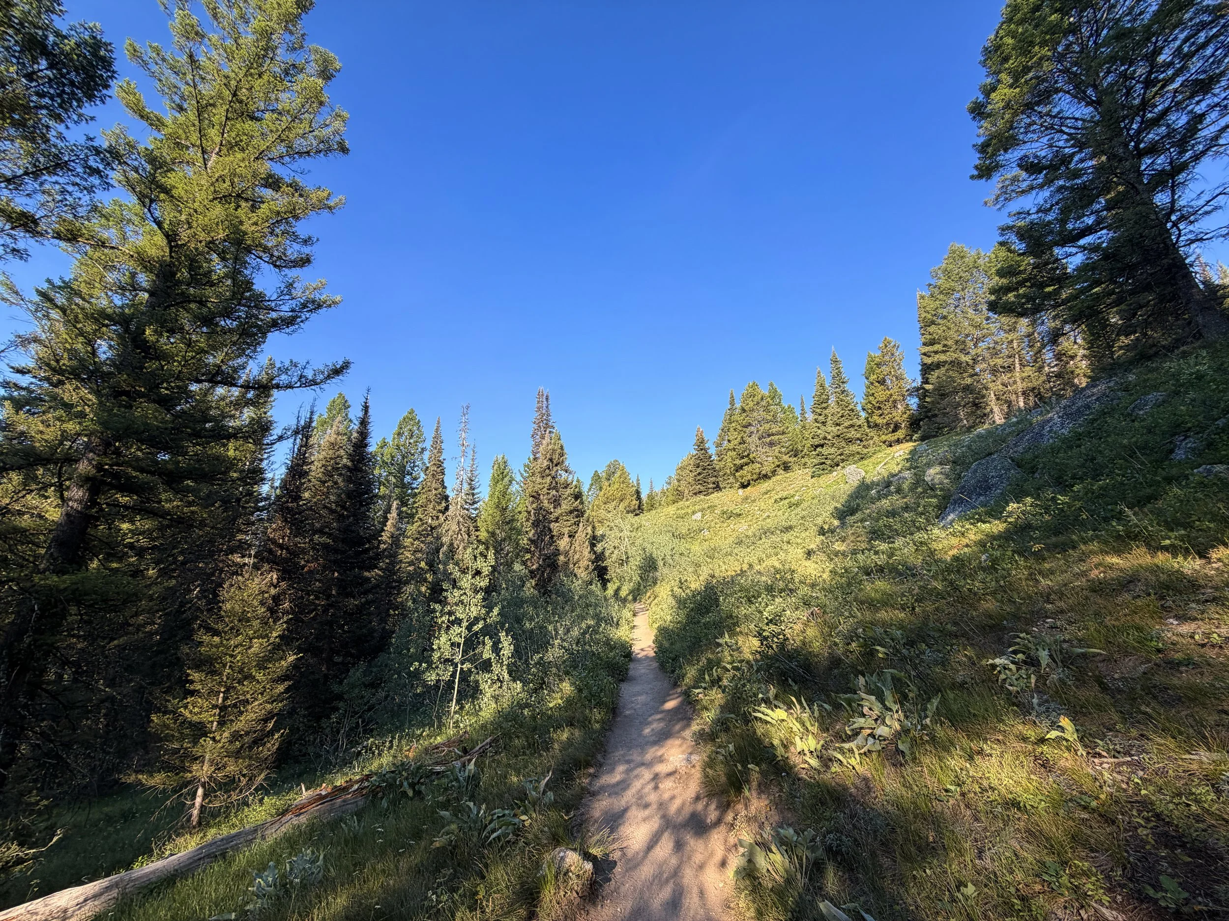 Delta Lake Hike via Lupine Meadows Grand Teton National Park Wyoming