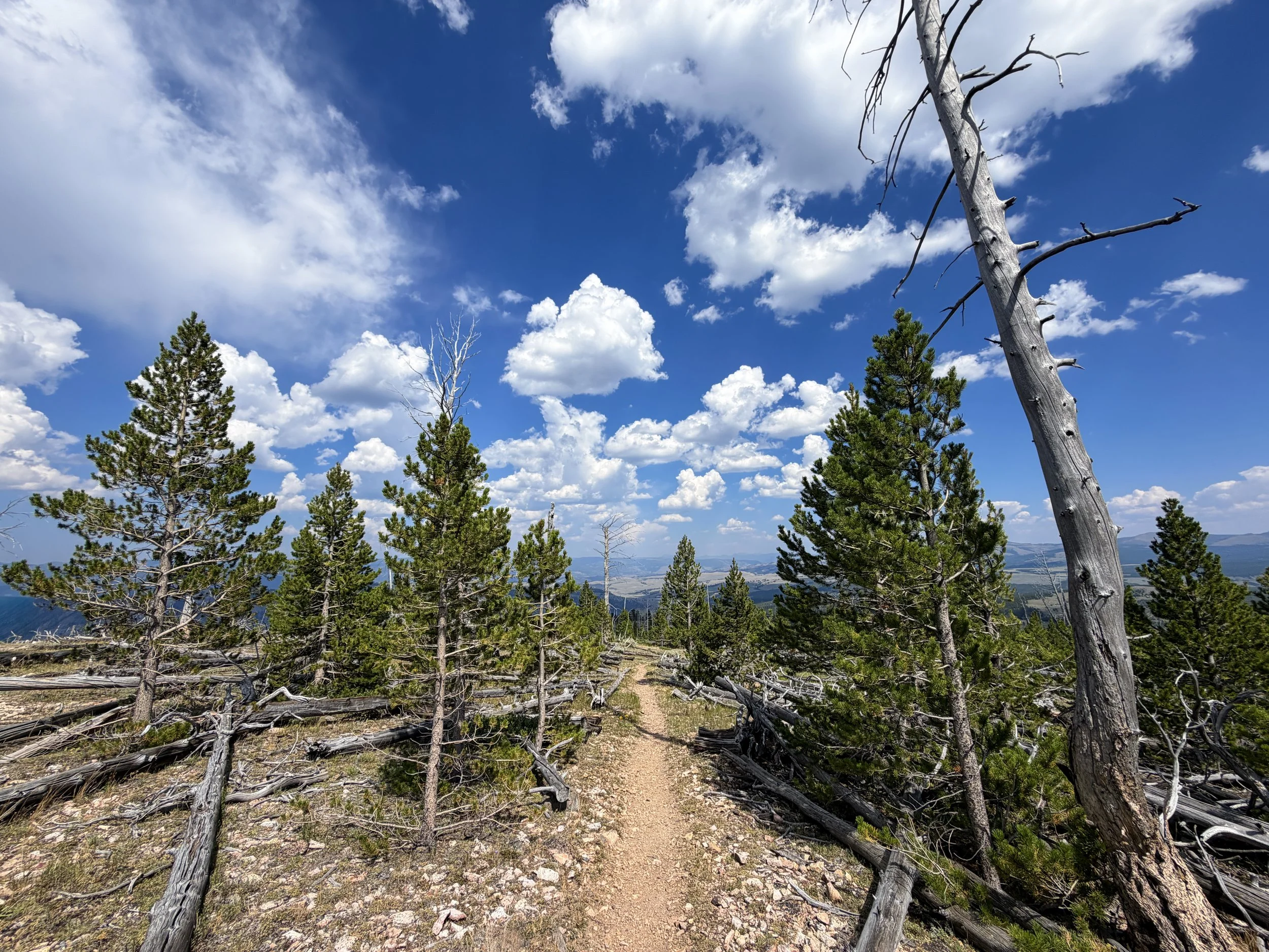 Bunsen Peak Trail to Osprey Falls Yellowstone National Park Wyoming
