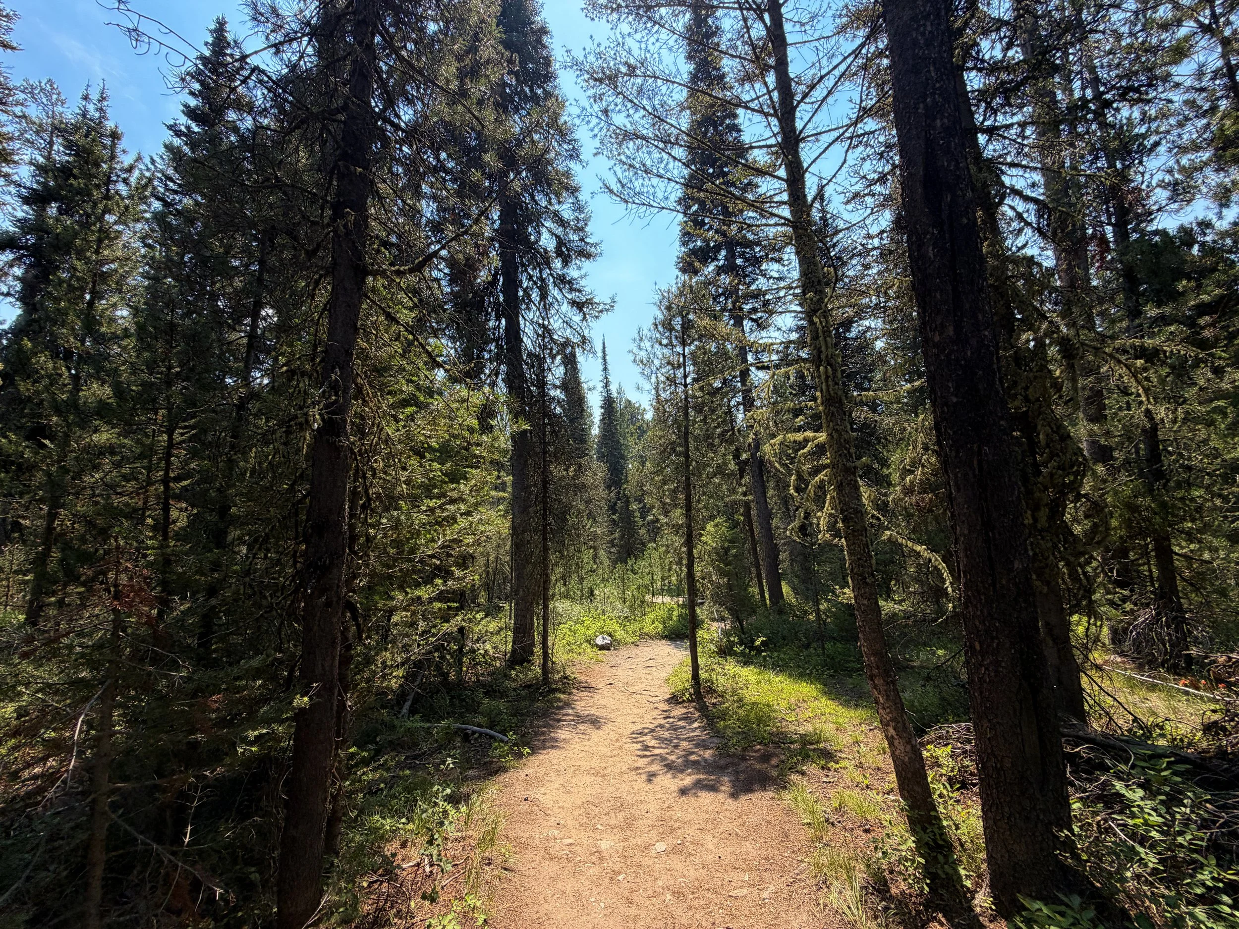 Phelps Lake Loop Trail Grand Teton National Park Wyoming