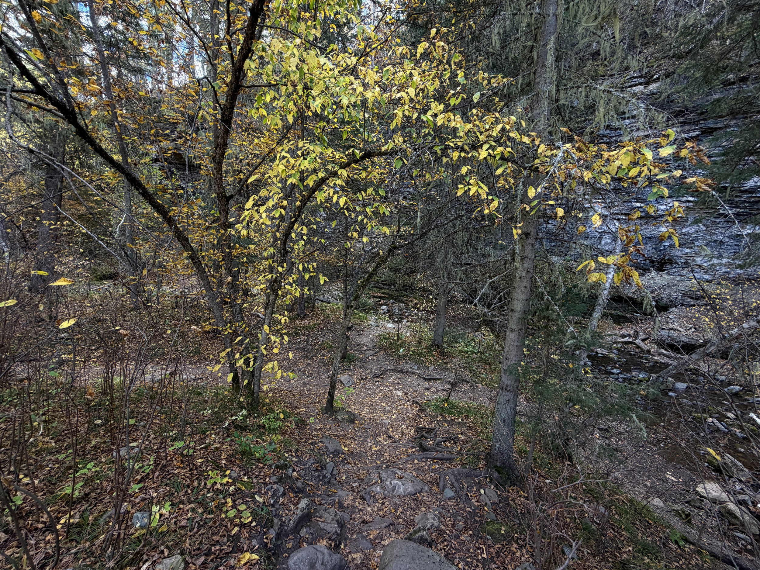 Devils Bathtub Trail Spearfish Canyon Black Hills South Dakota