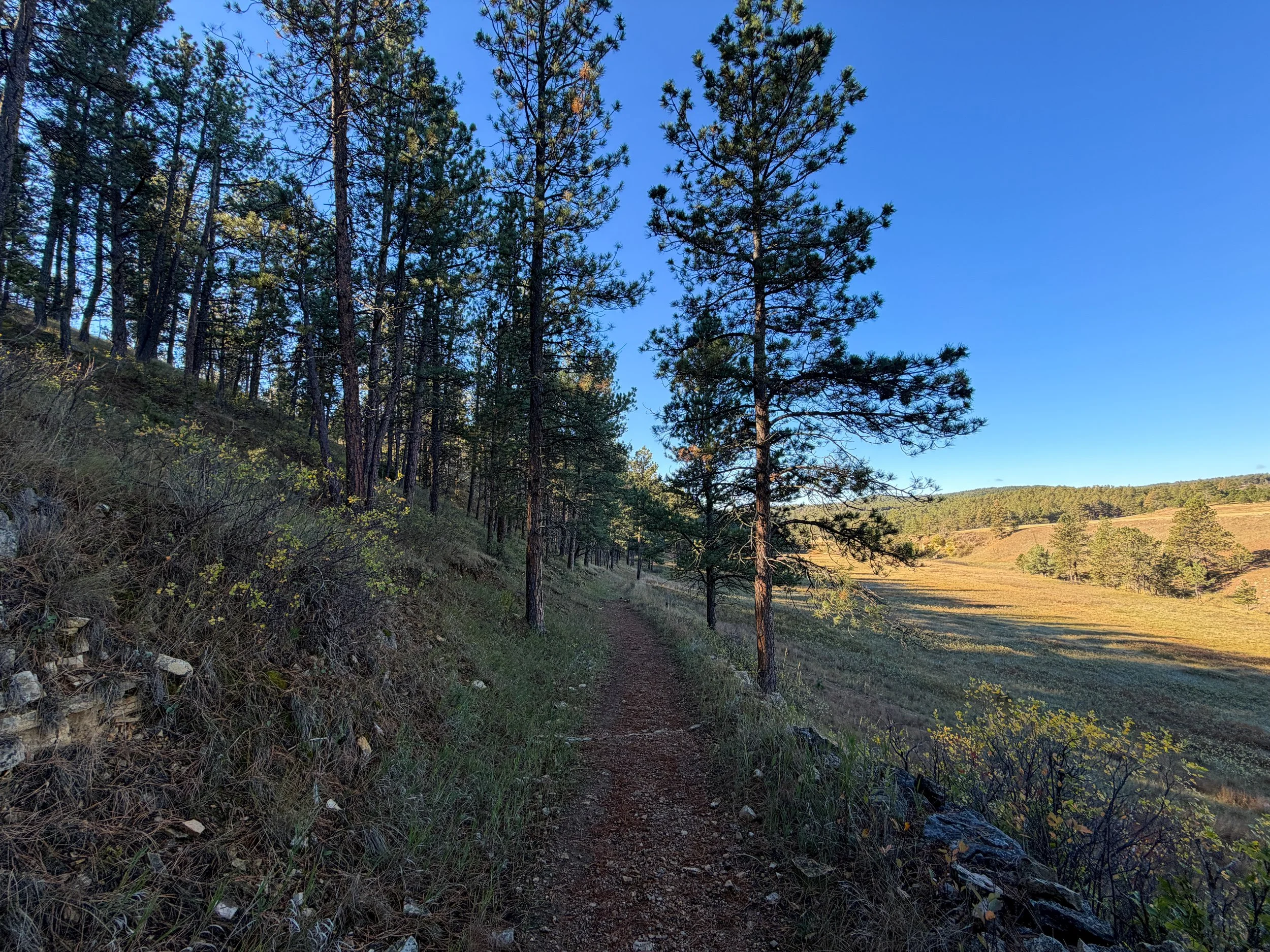 Cold Brook Canyon Trail Wind Cave National Park South Dakota